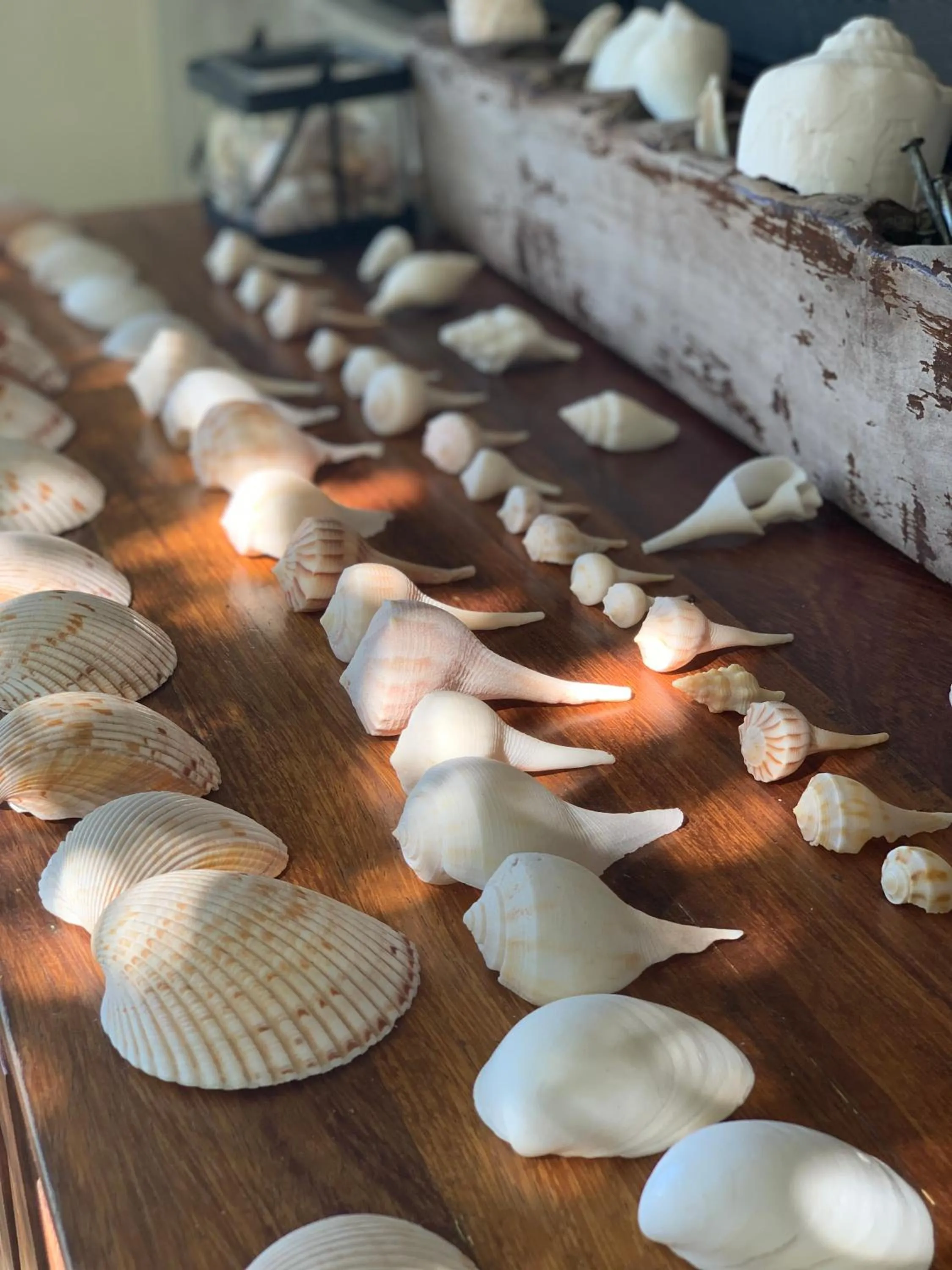 Decorative detail in Boutique Hotel EL NIDO Holbox