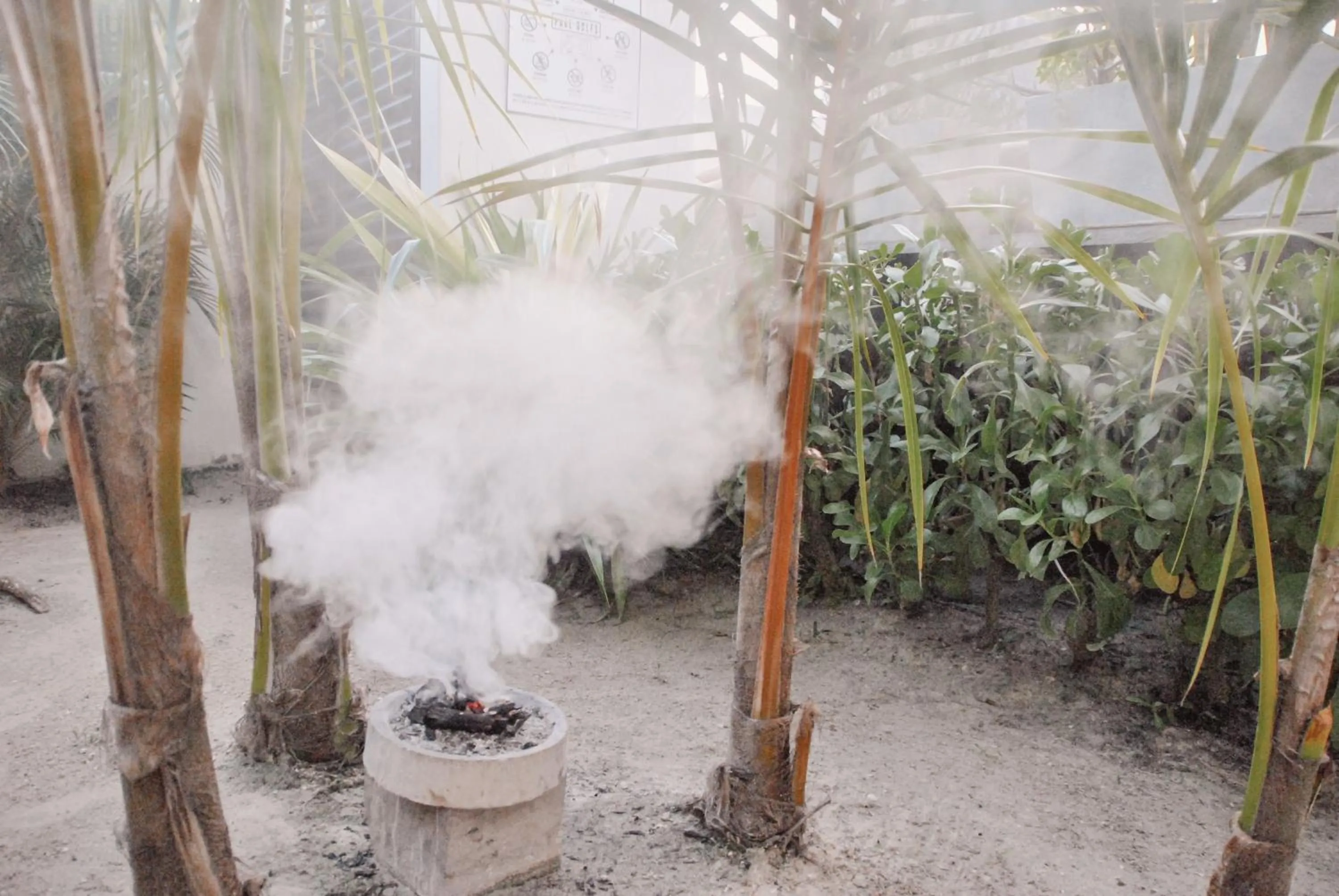 Garden in Boutique Hotel EL NIDO Holbox