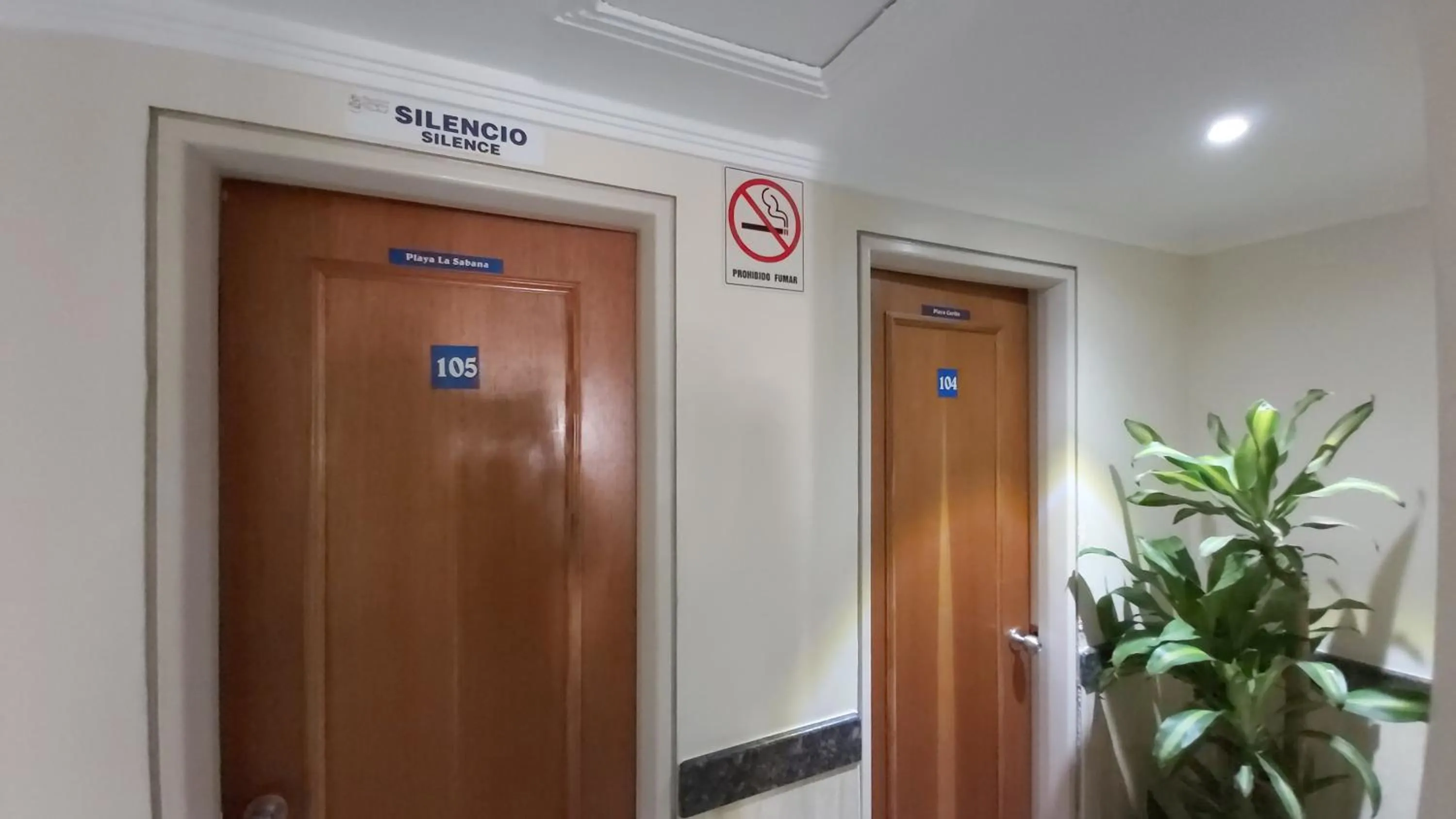 Bird's eye view in HOTEL MUEVETE POR VARGAS