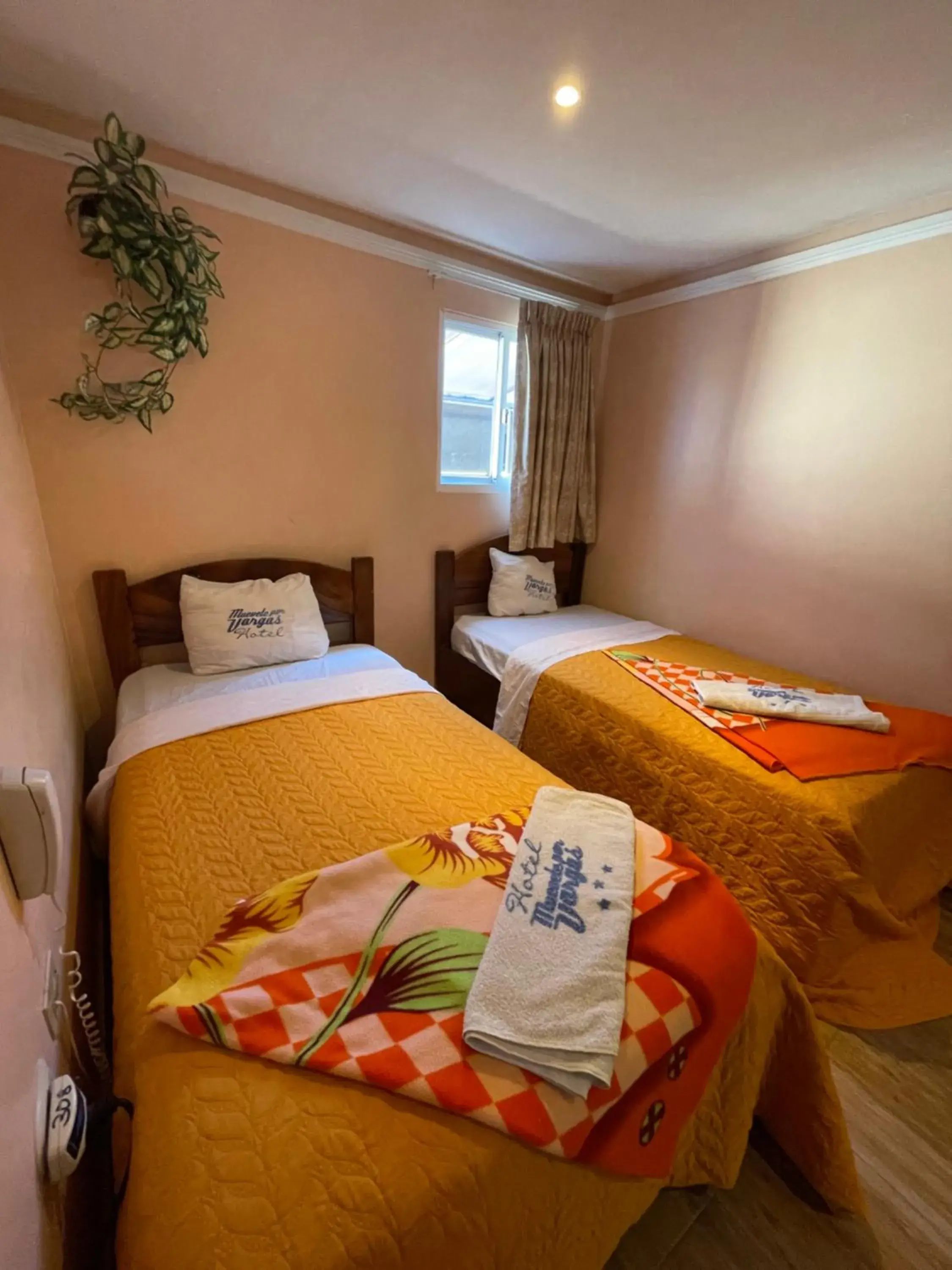 Budget Double or Twin Room in HOTEL MUEVETE POR VARGAS Budget Double or Twin Room in HOTEL MUEVETE POR VARGAS
