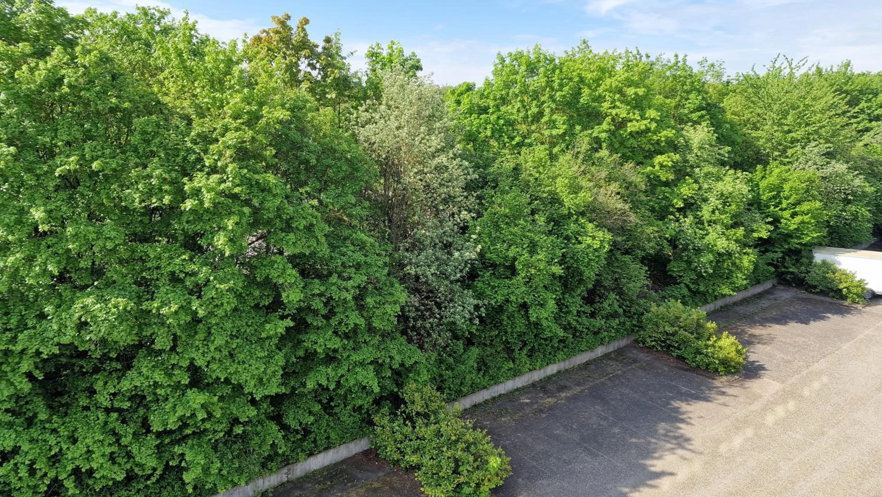 View (from property/room) in Hotel Fortuna Reutlingen-Tübingen
