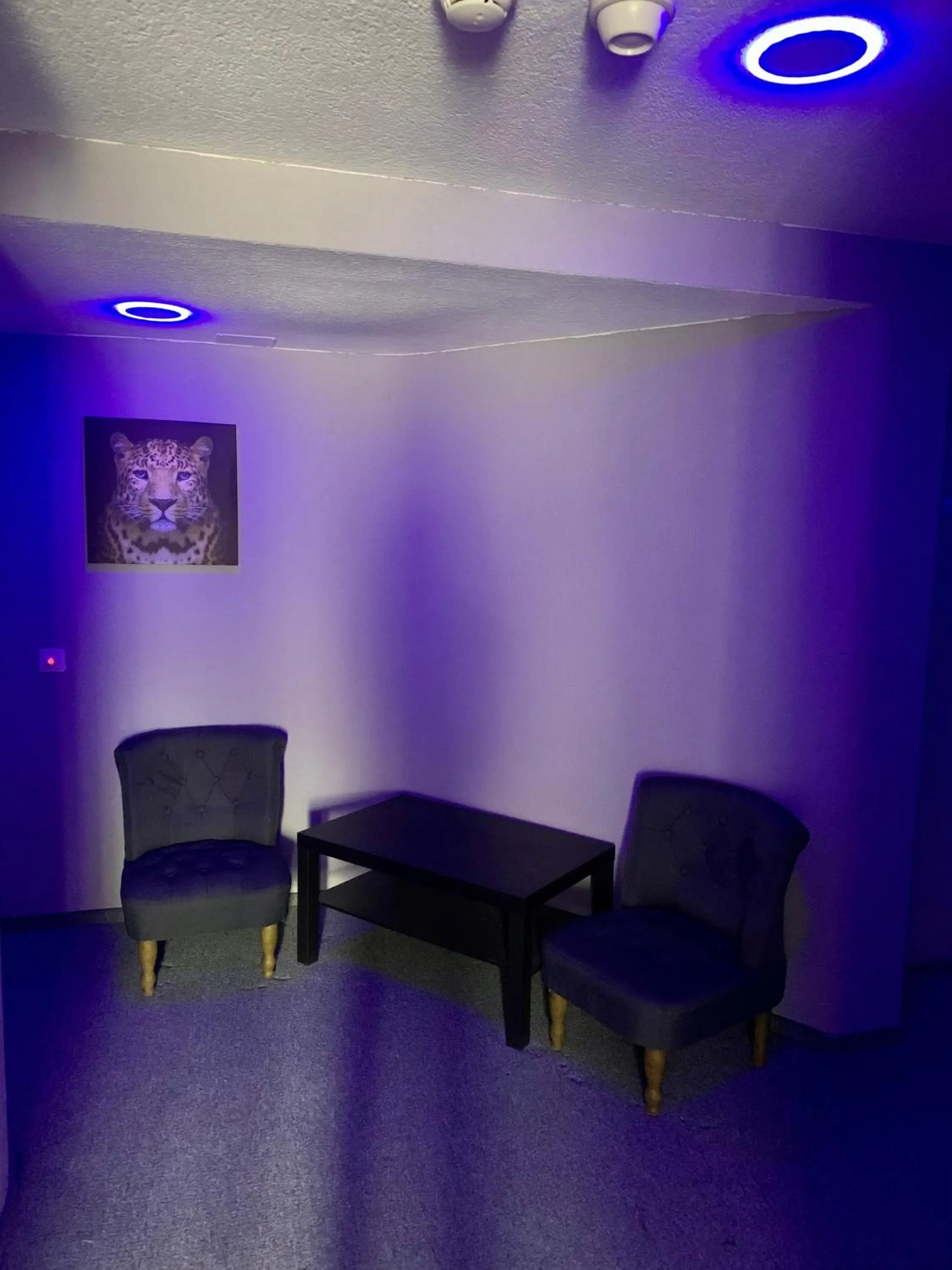 Decorative detail in Swiss Hotel Krummen Eich Pratteln Free Parking