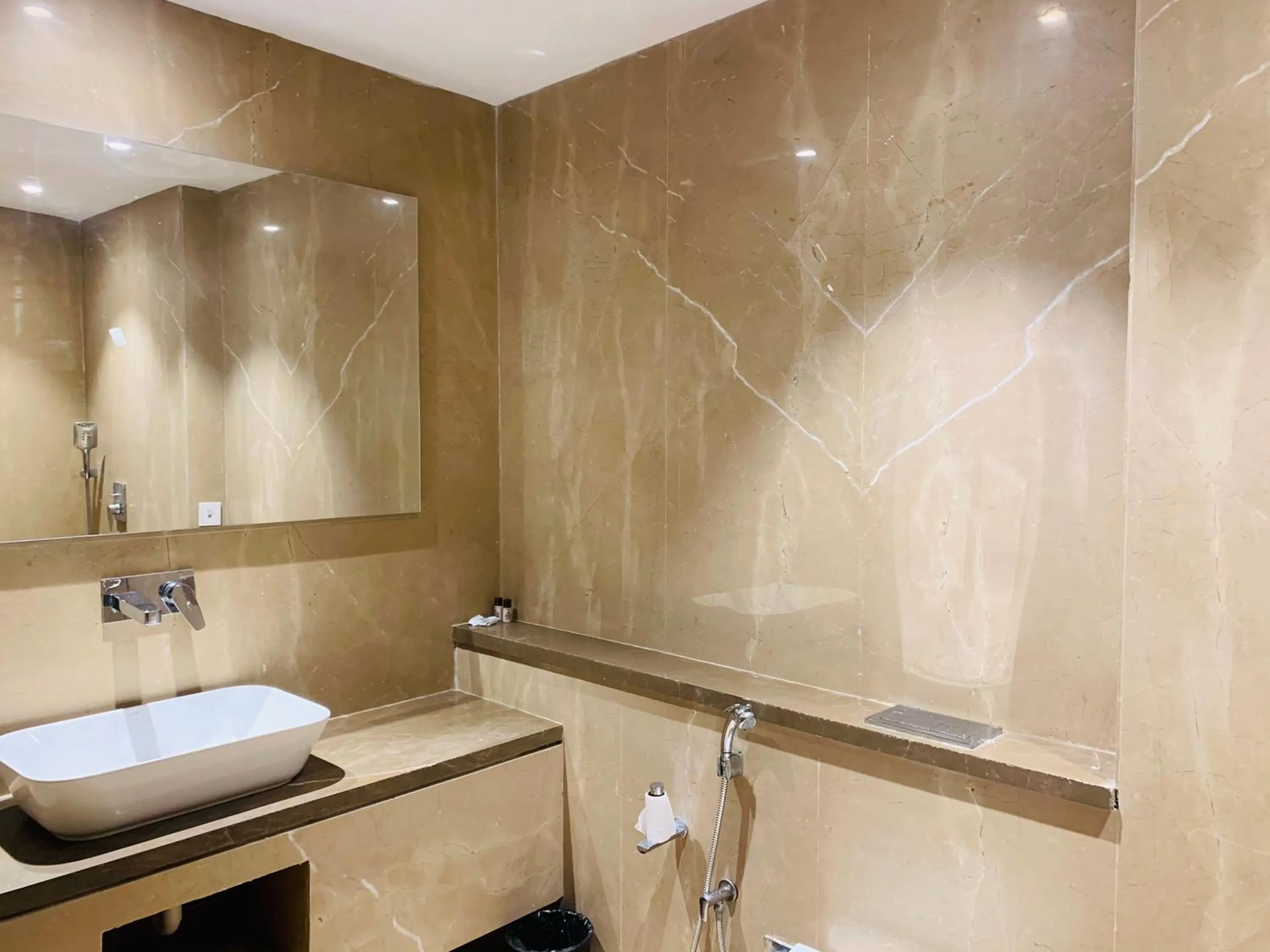 Toilet in Hotel Bhoomivilas