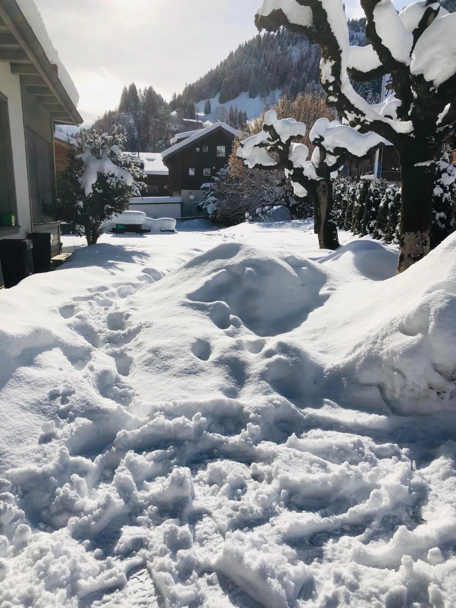 Parkhotel Bellevue Budget