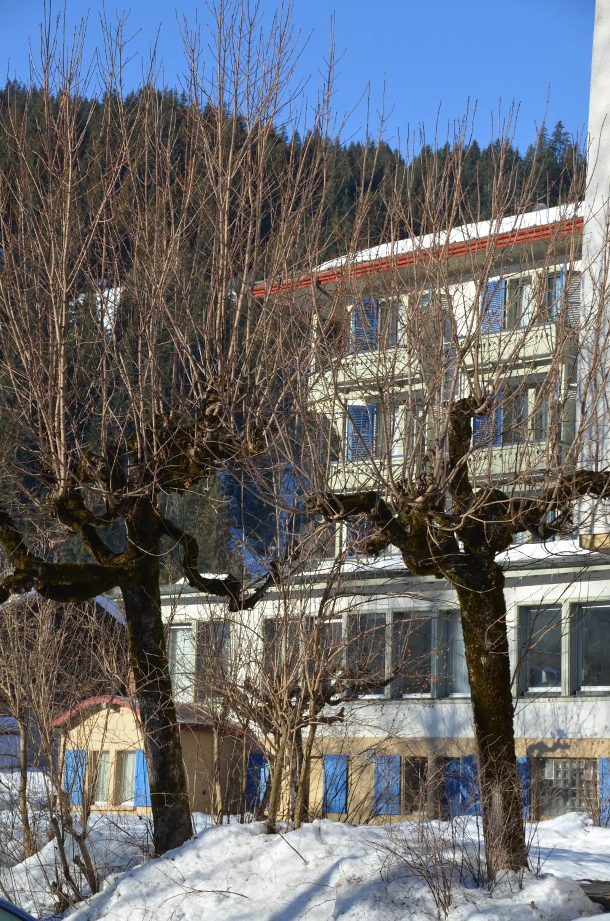 Facade/entrance in Parkhotel Bellevue Budget