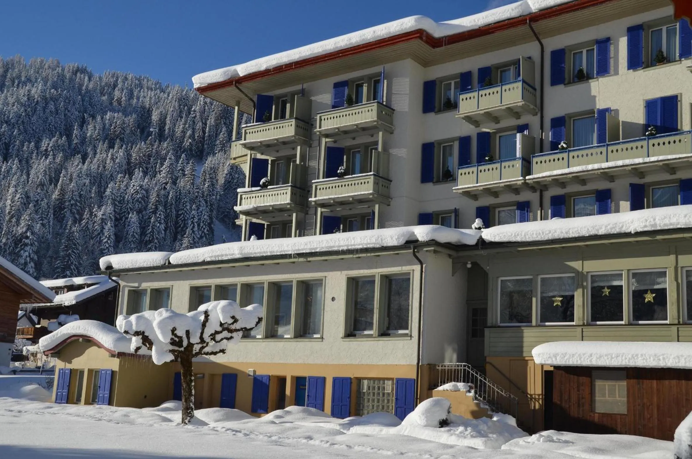 Winter in Parkhotel Bellevue Budget