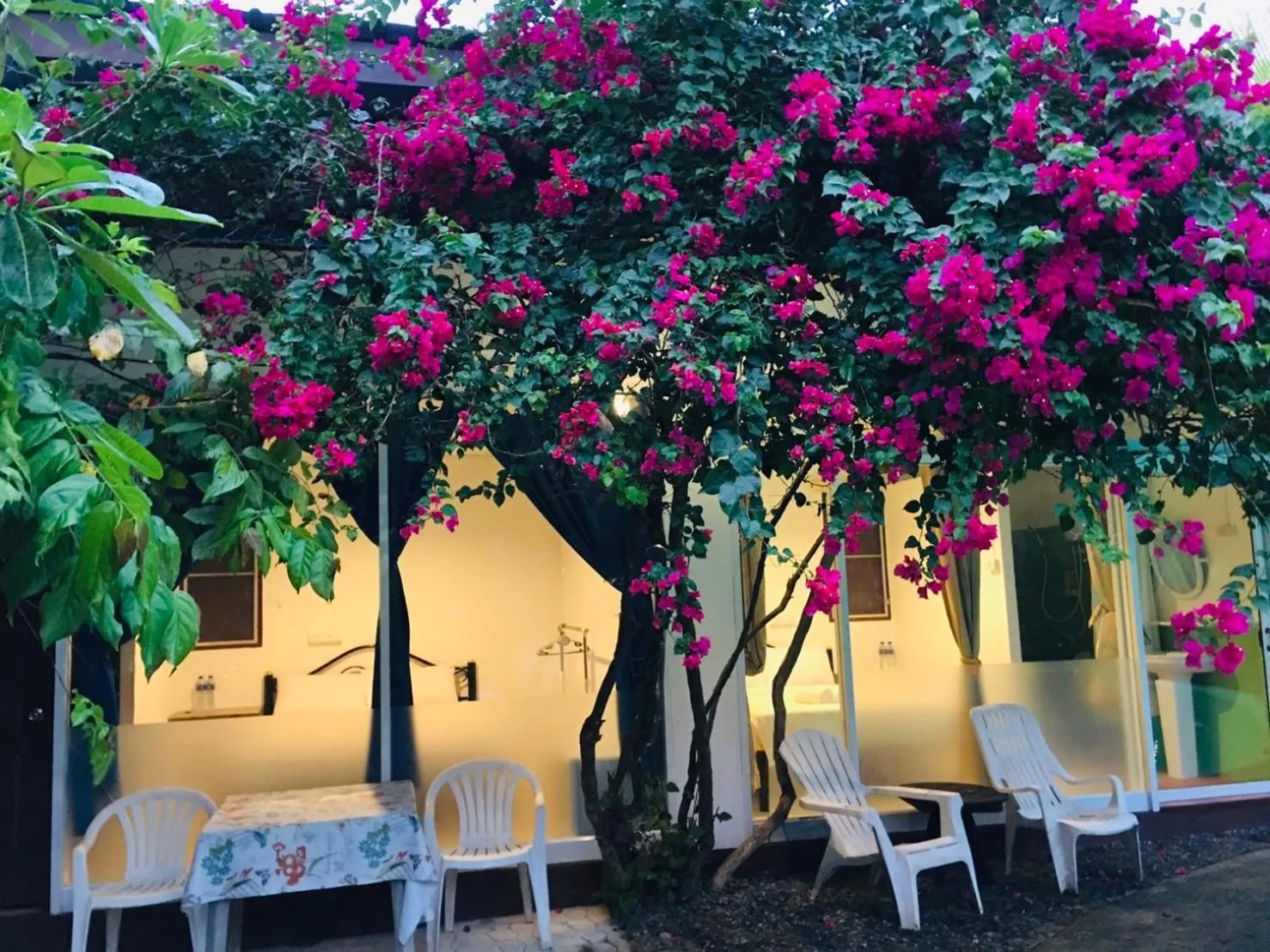 OASIS Phuket Airport