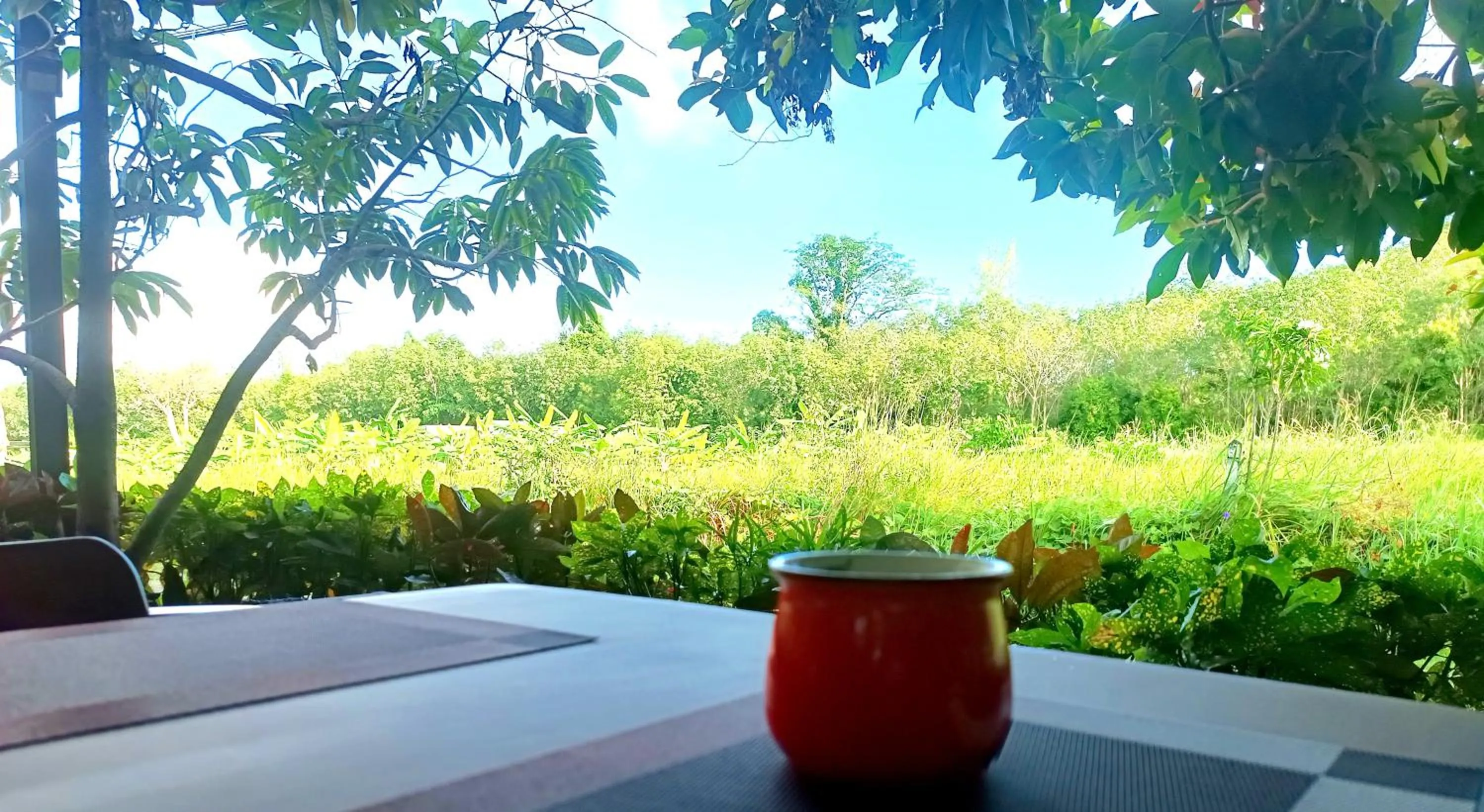 Spring in OASIS Phuket Airport