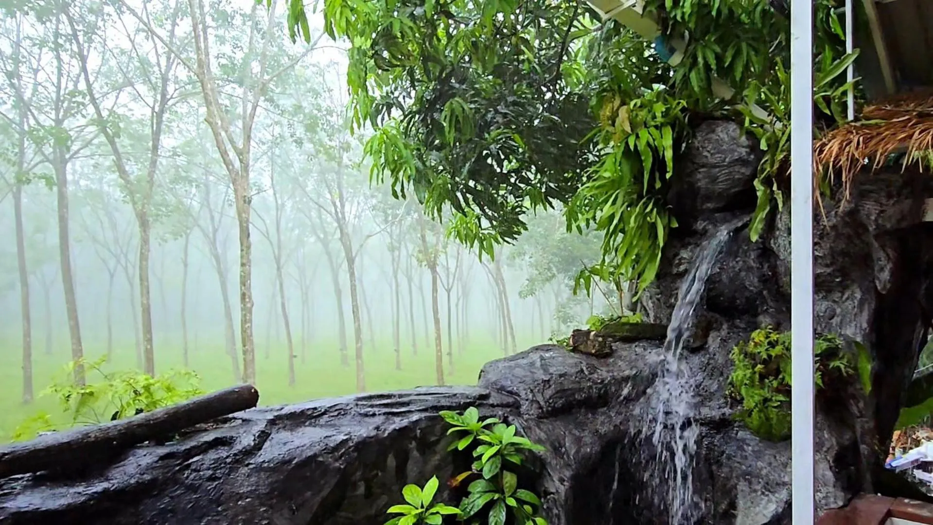 Natural landscape in OASIS Phuket Airport