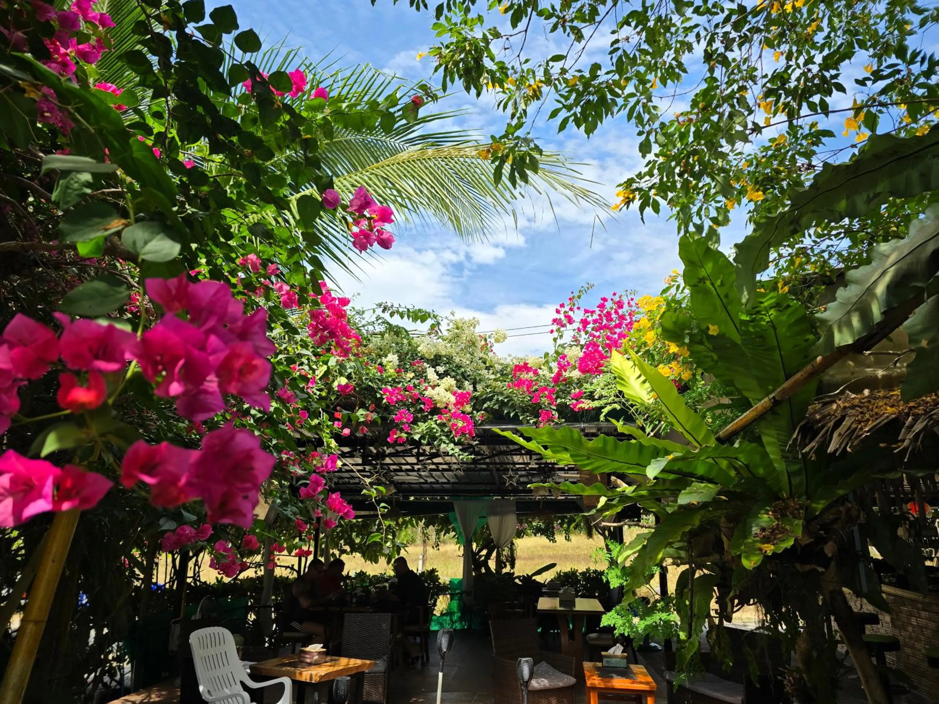 Restaurant/places to eat in OASIS Phuket Airport