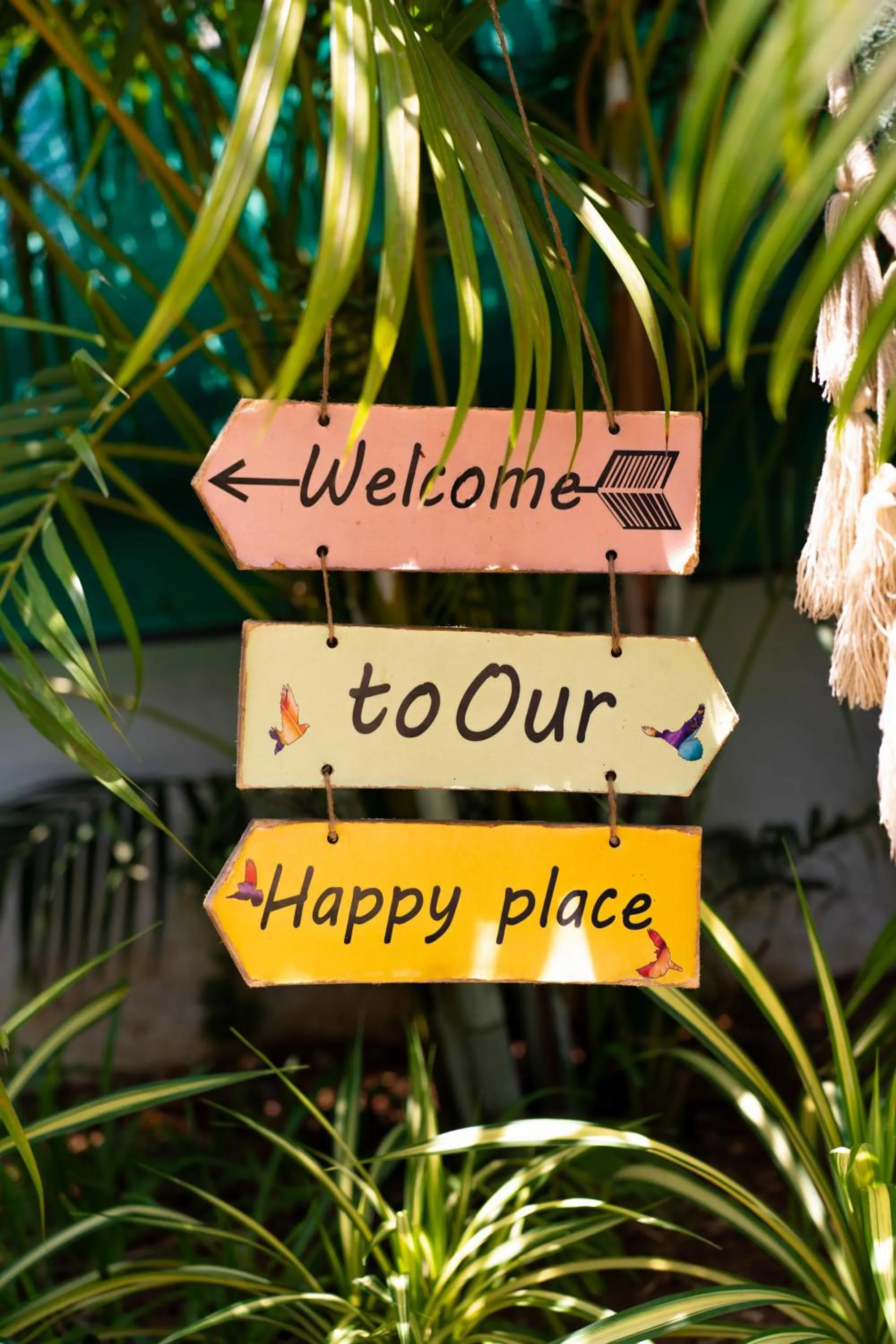 Garden in Villa Barbosa, 2 BHK Villa & Luxury Rooms near Colva, Sernabatim, Benaulim Beach