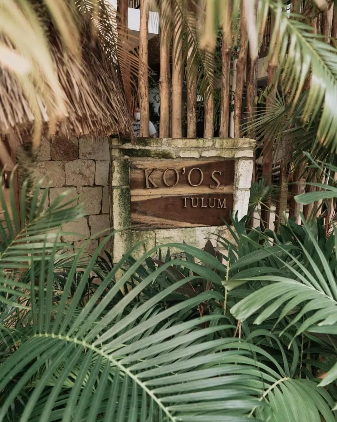 Logo/Certificate/Sign in Koos Tulum Hotel