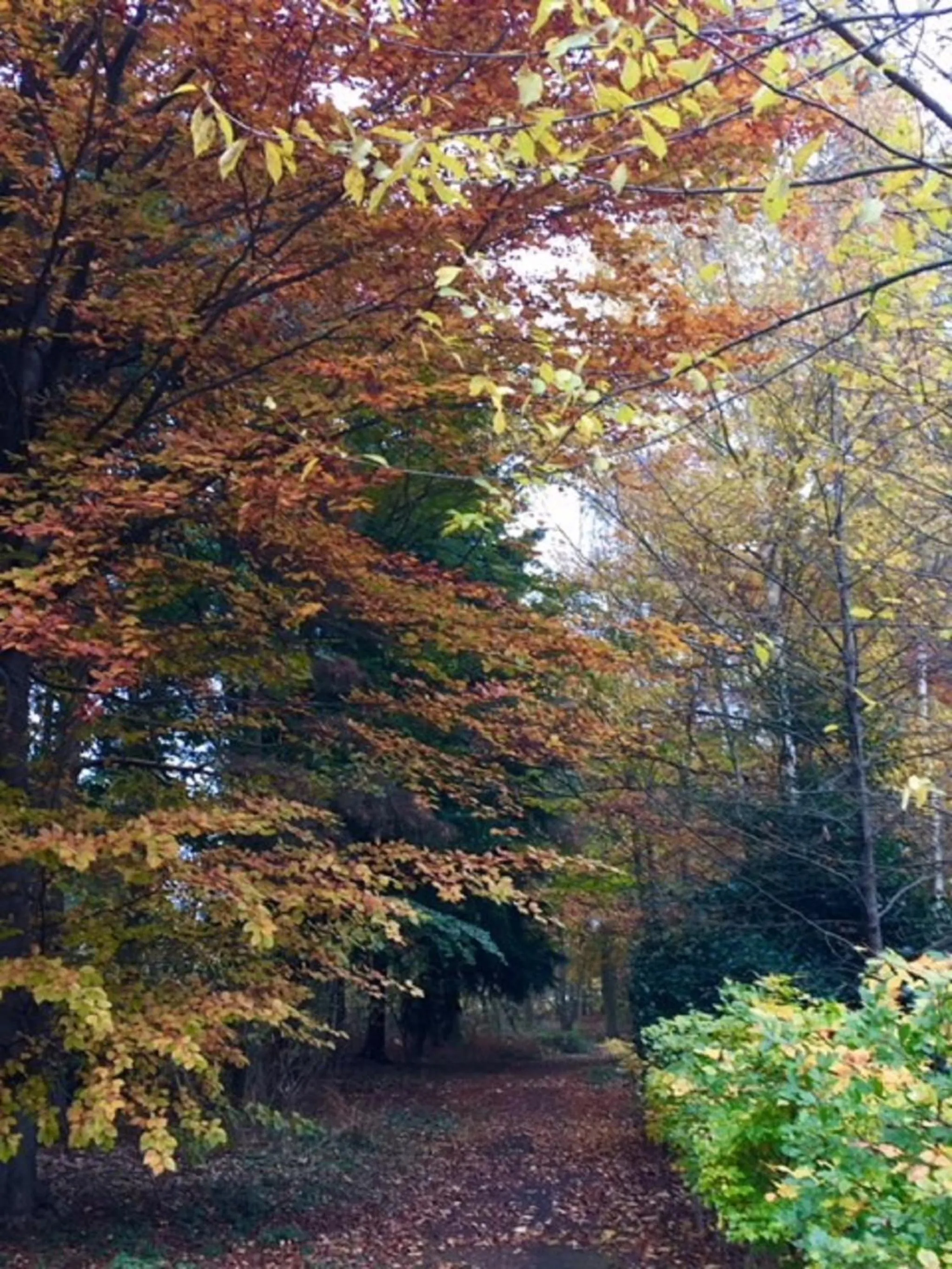 Property building in Hollicarrs - Stag Lodge