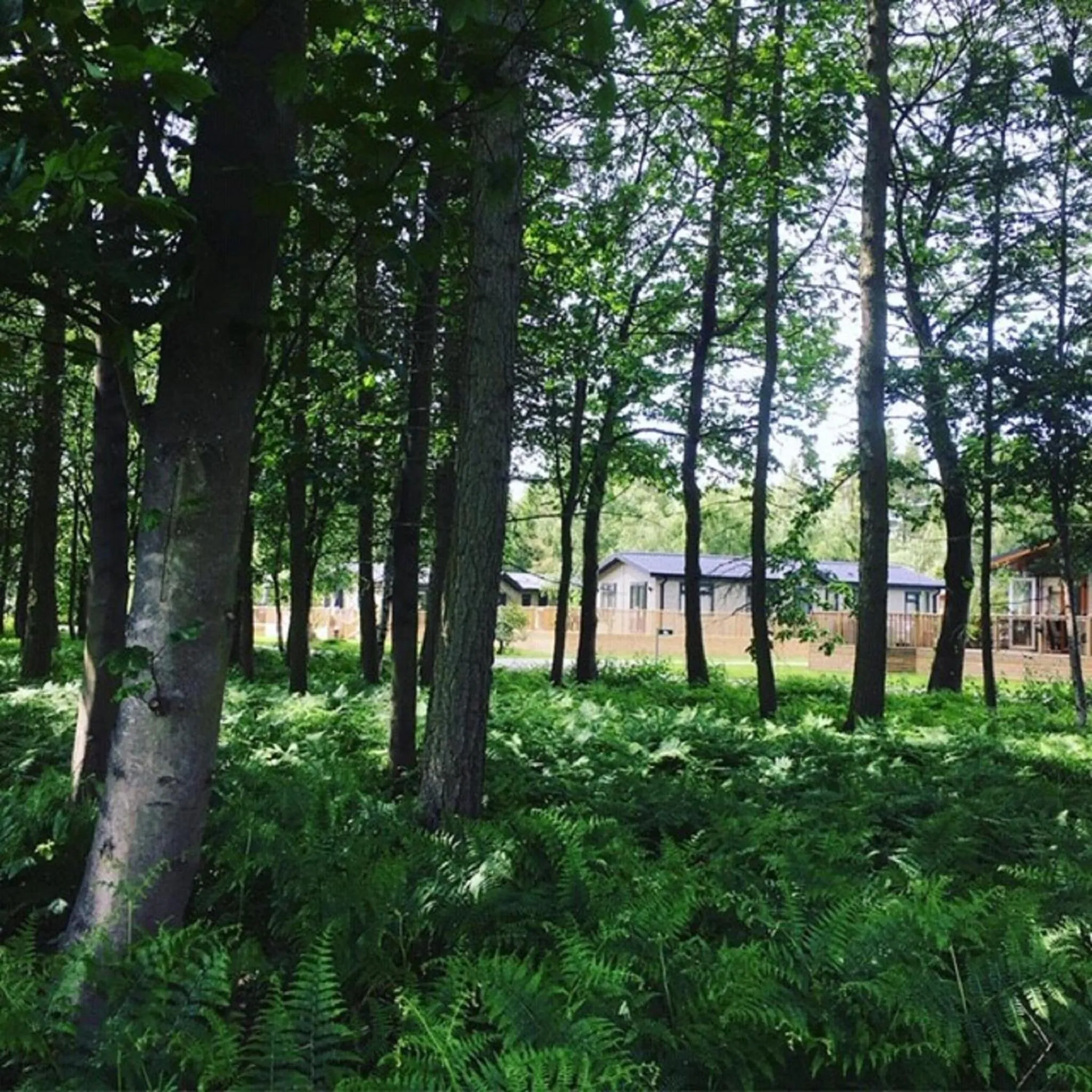 Property building in Hollicarrs - Stag Lodge