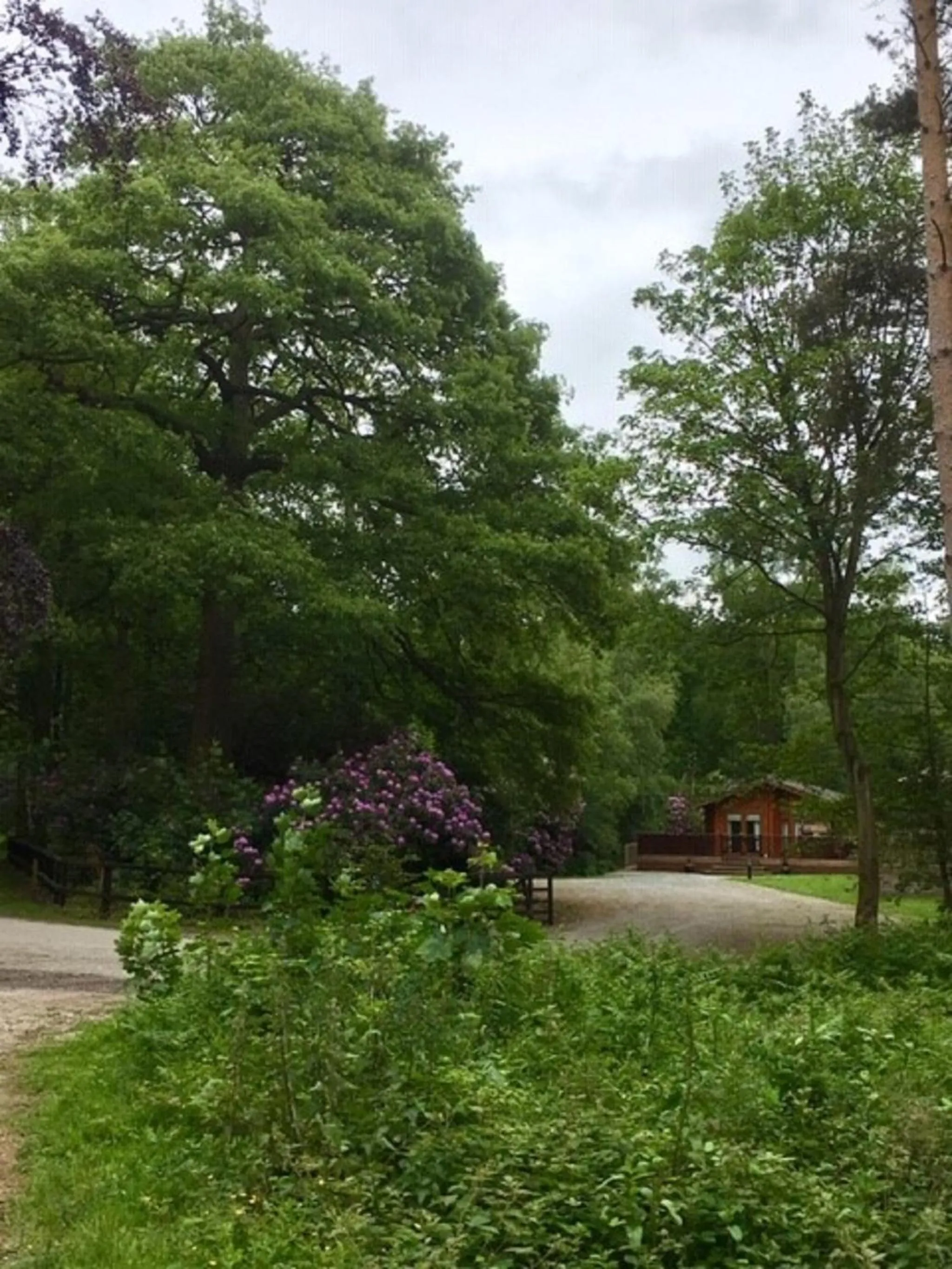 Property building in Hollicarrs - Stag Lodge