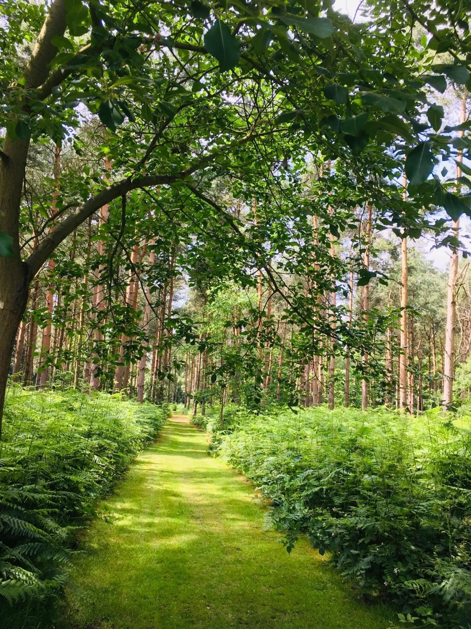 Property building in Hollicarrs - Stag Lodge