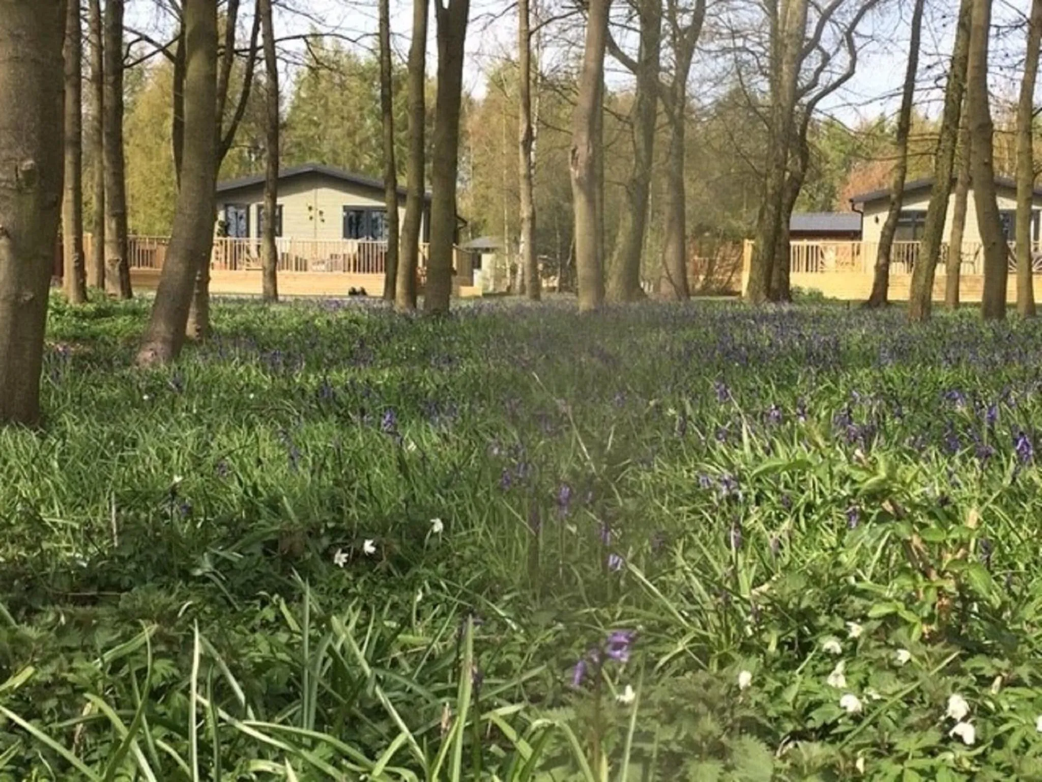 Property building in Hollicarrs - Stag Lodge