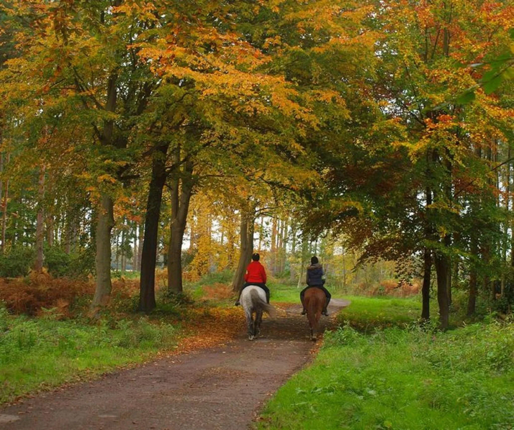 Activities in Hollicarrs - Stag Lodge