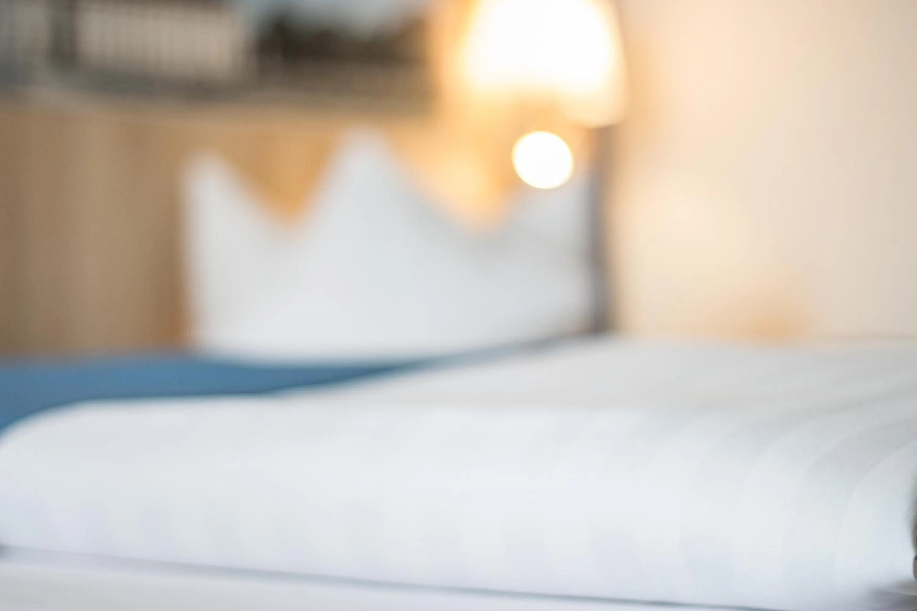 Bed in Hotel Blauer Karpfen