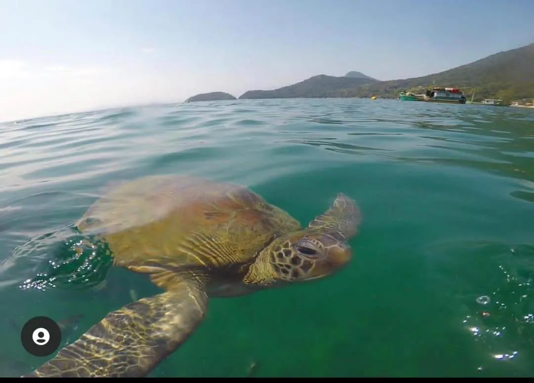 Suítes Carla e Carol