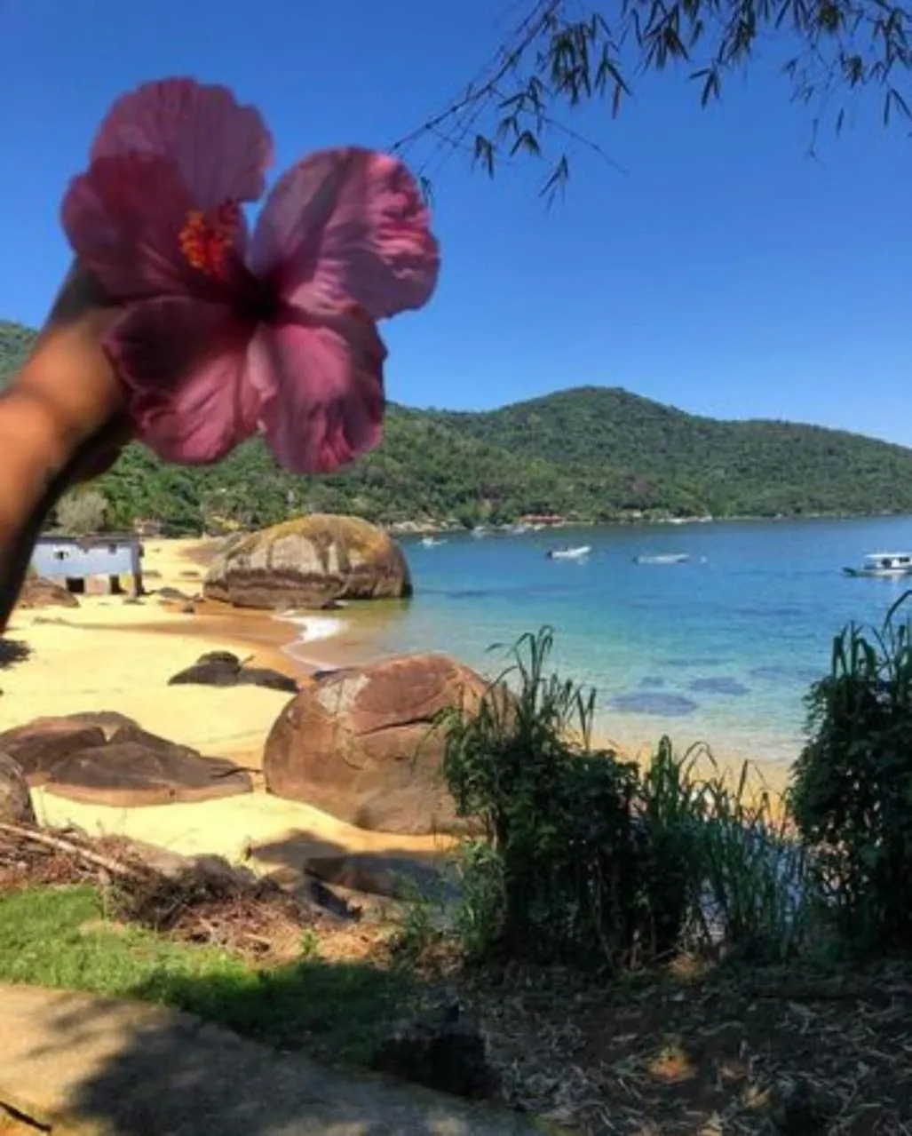 Suítes Carla e Carol