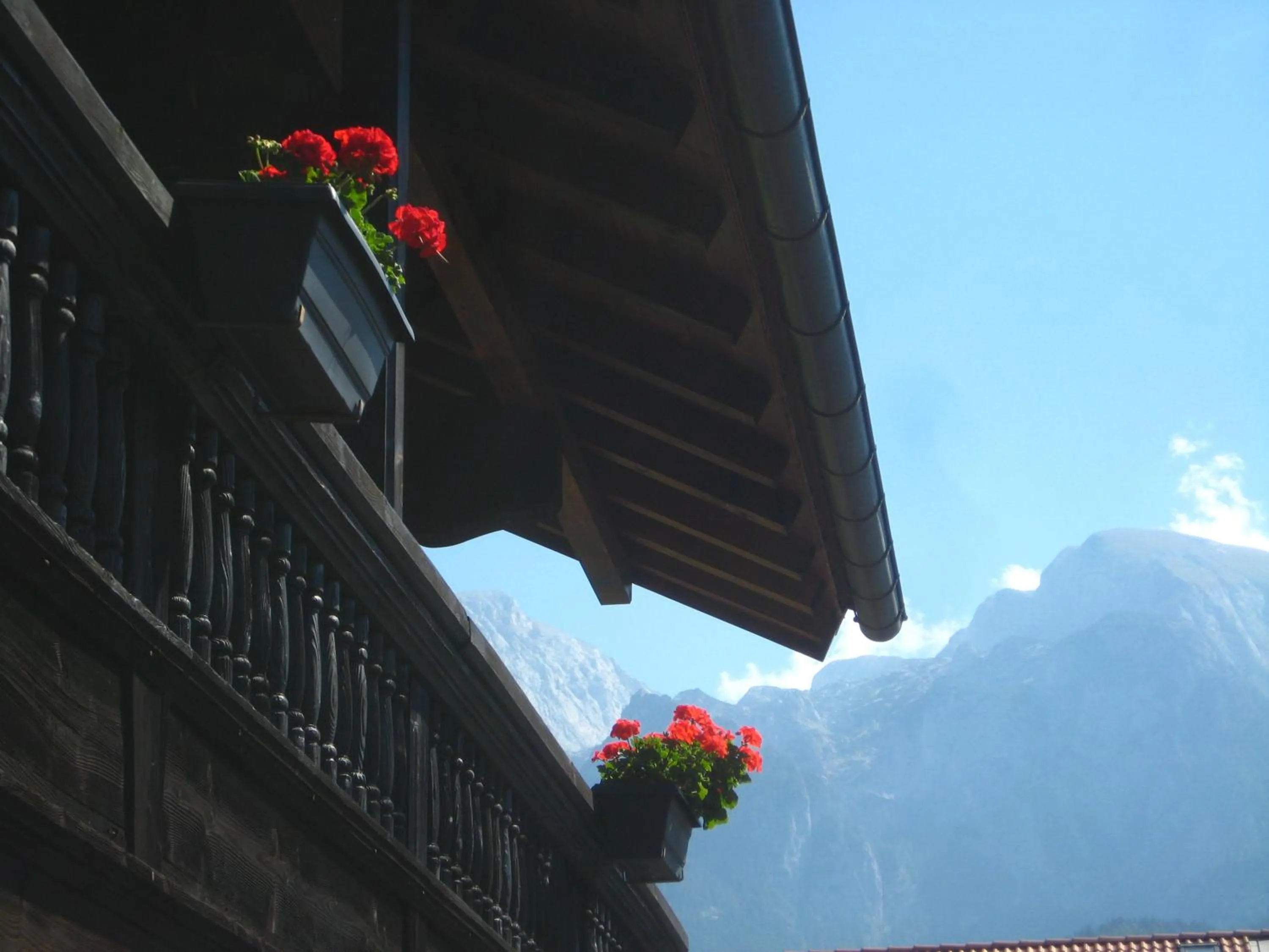 View (from property/room) in Sporthotel Schönau am Königssee