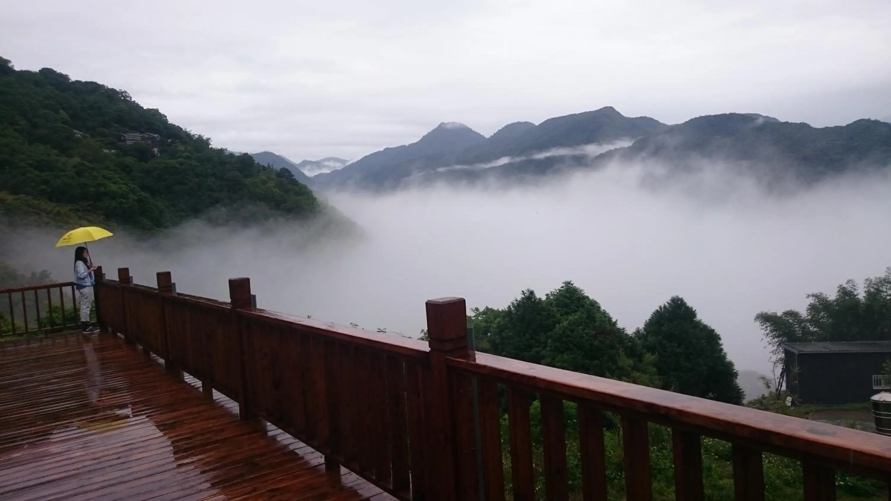 Property building in Monica Workshop