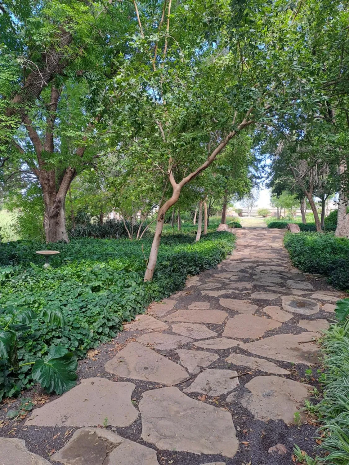Garden in Big Sky Ranch