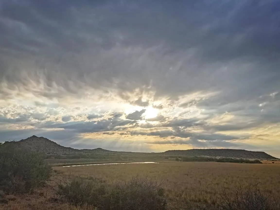 Garden in Big Sky Ranch