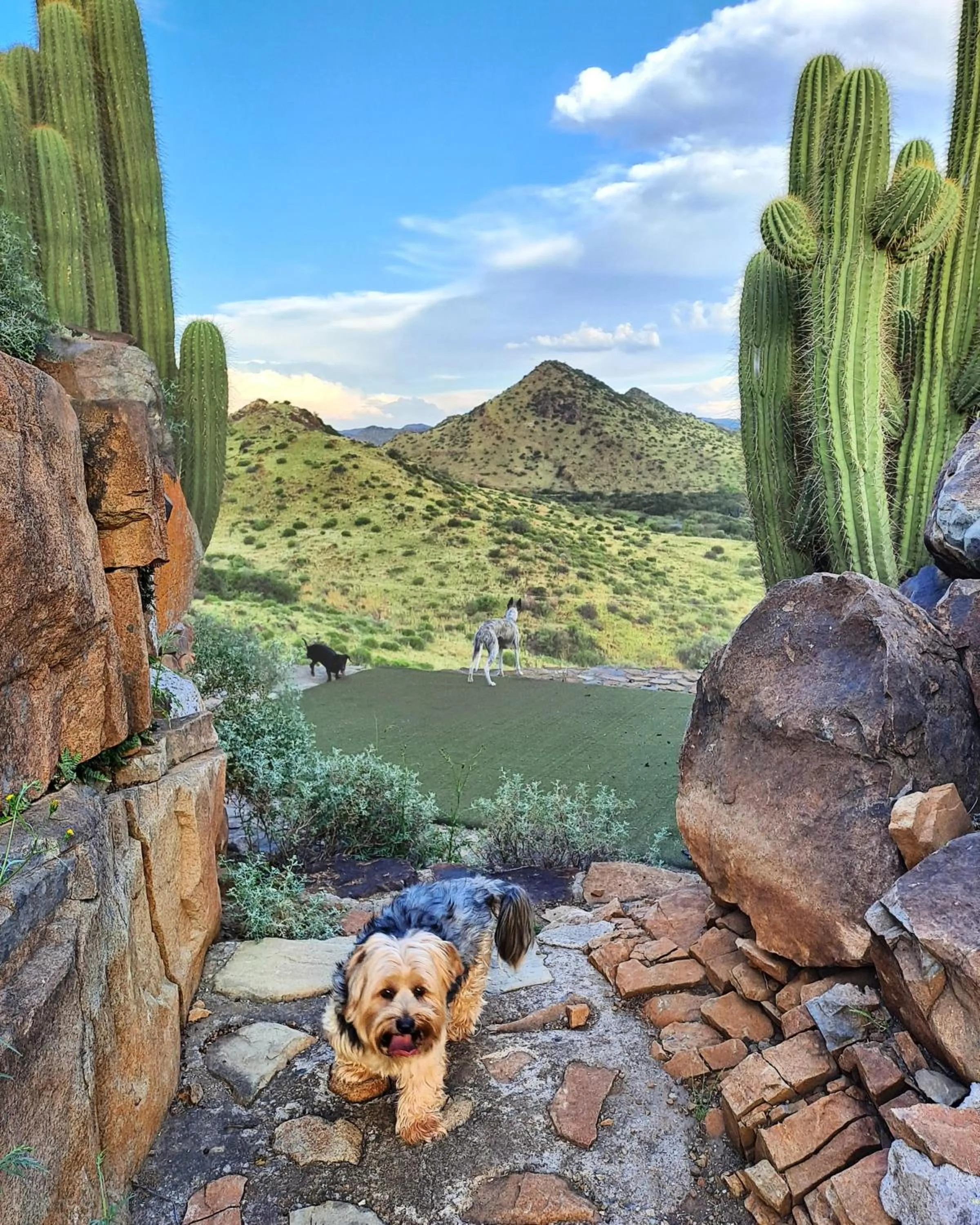 Property building in Big Sky Ranch