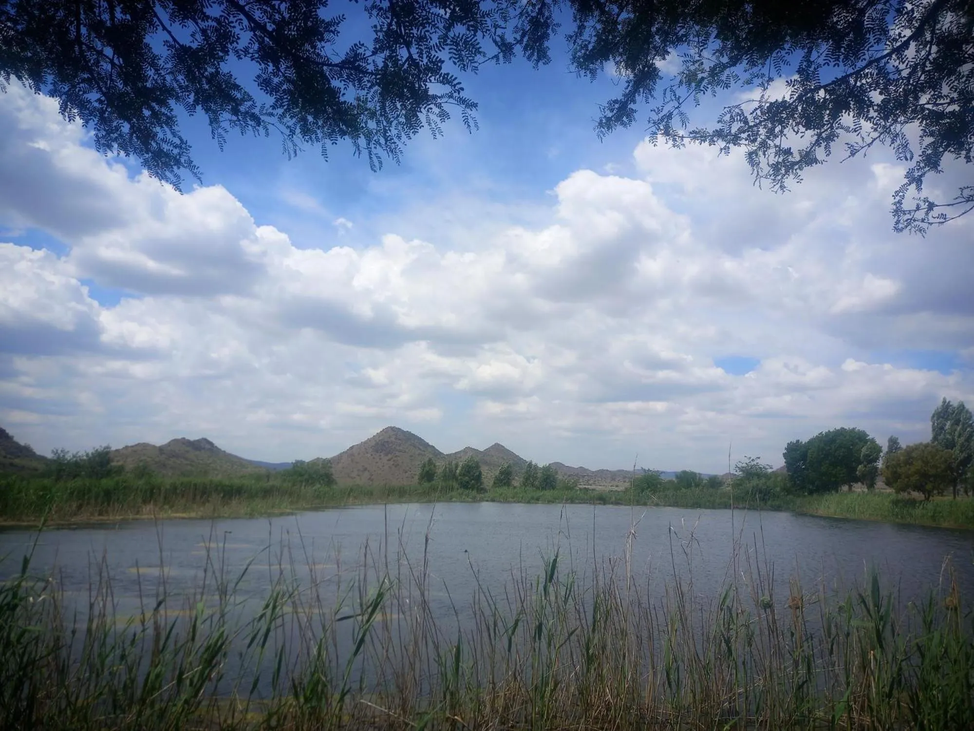 Lake view in Big Sky Ranch