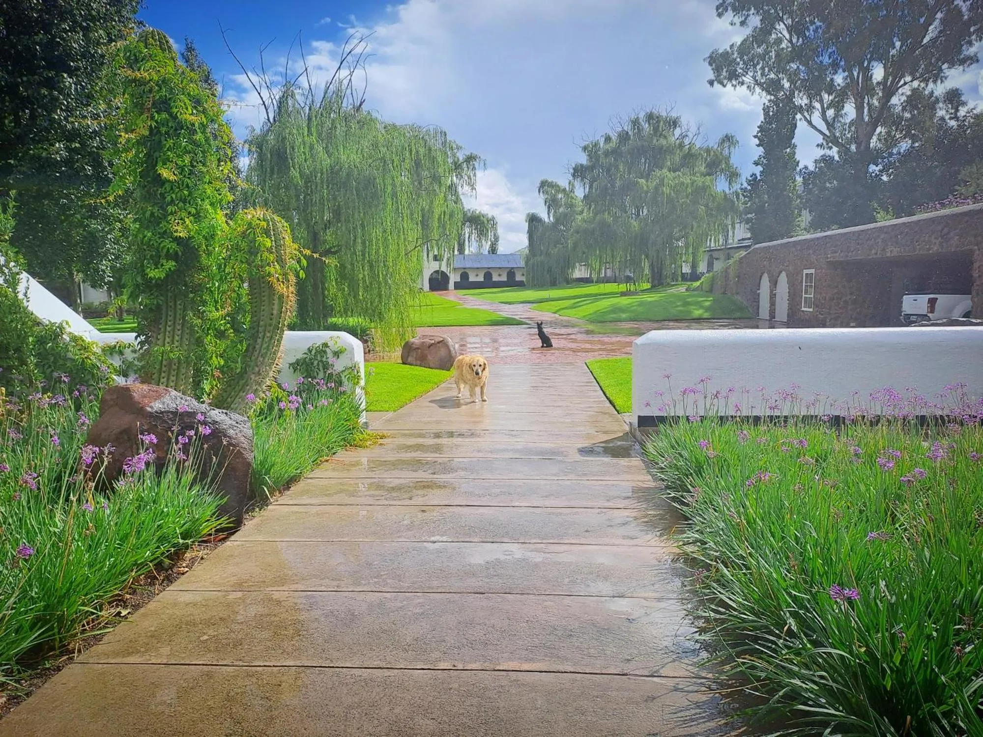 Property building in Big Sky Ranch