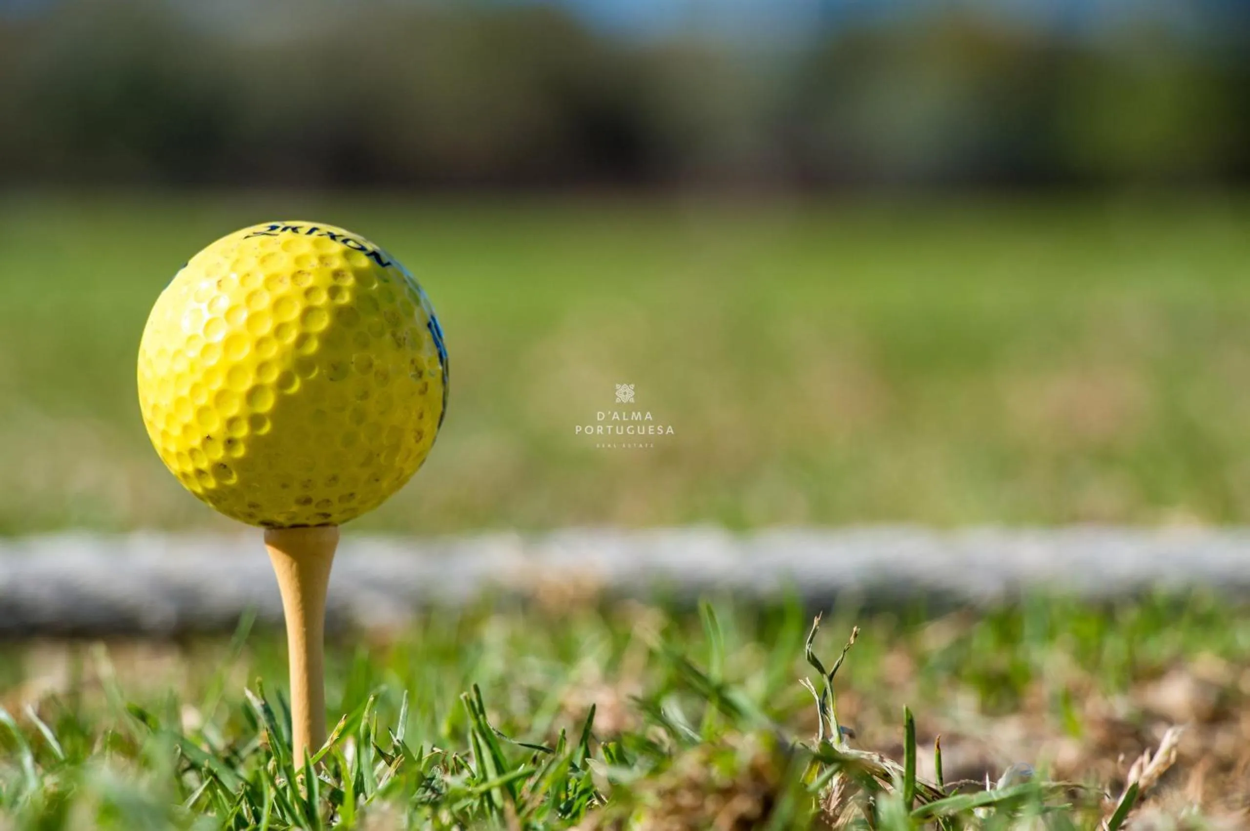 View (from property/room) in Balaia Golf Village Resort