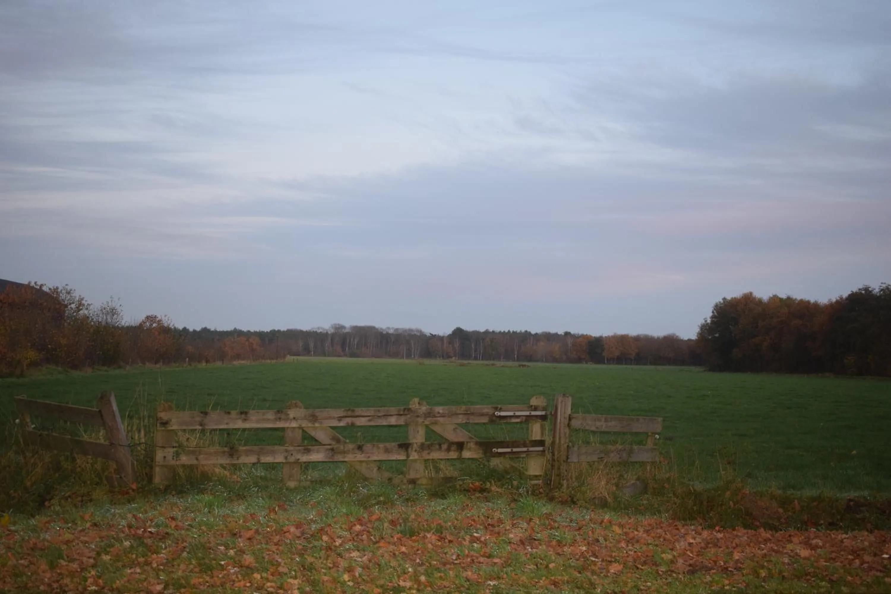 Natural landscape in Boutique Hotel en B&B De Zwammenberg