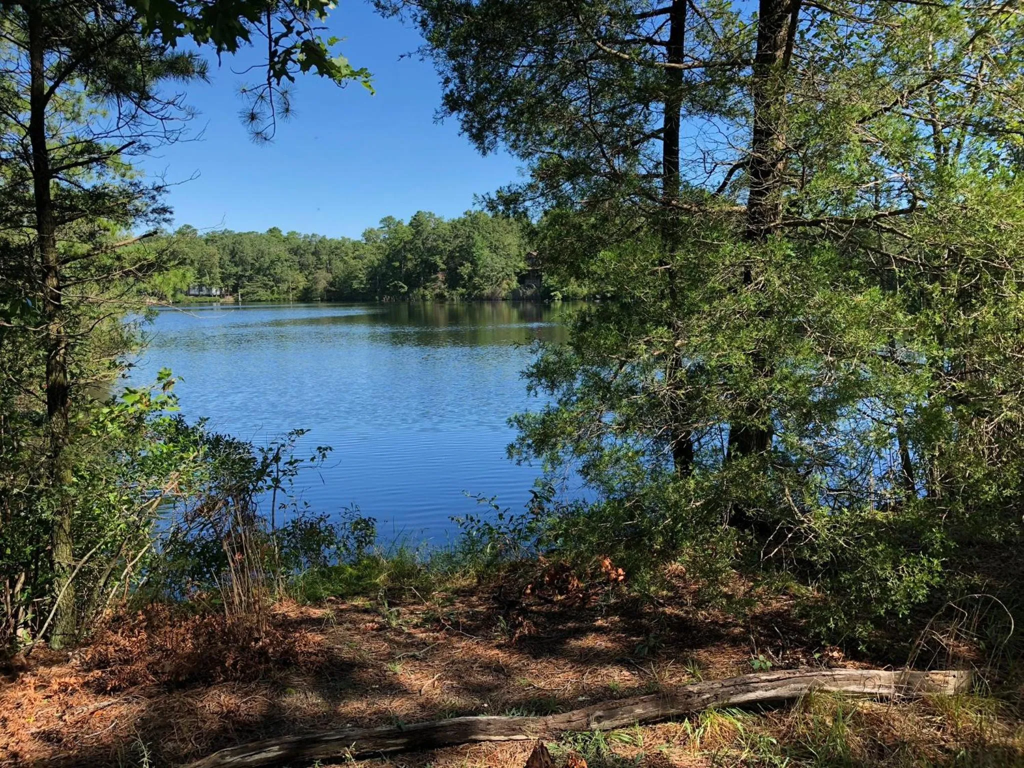 Natural landscape in Swan Lake Resort