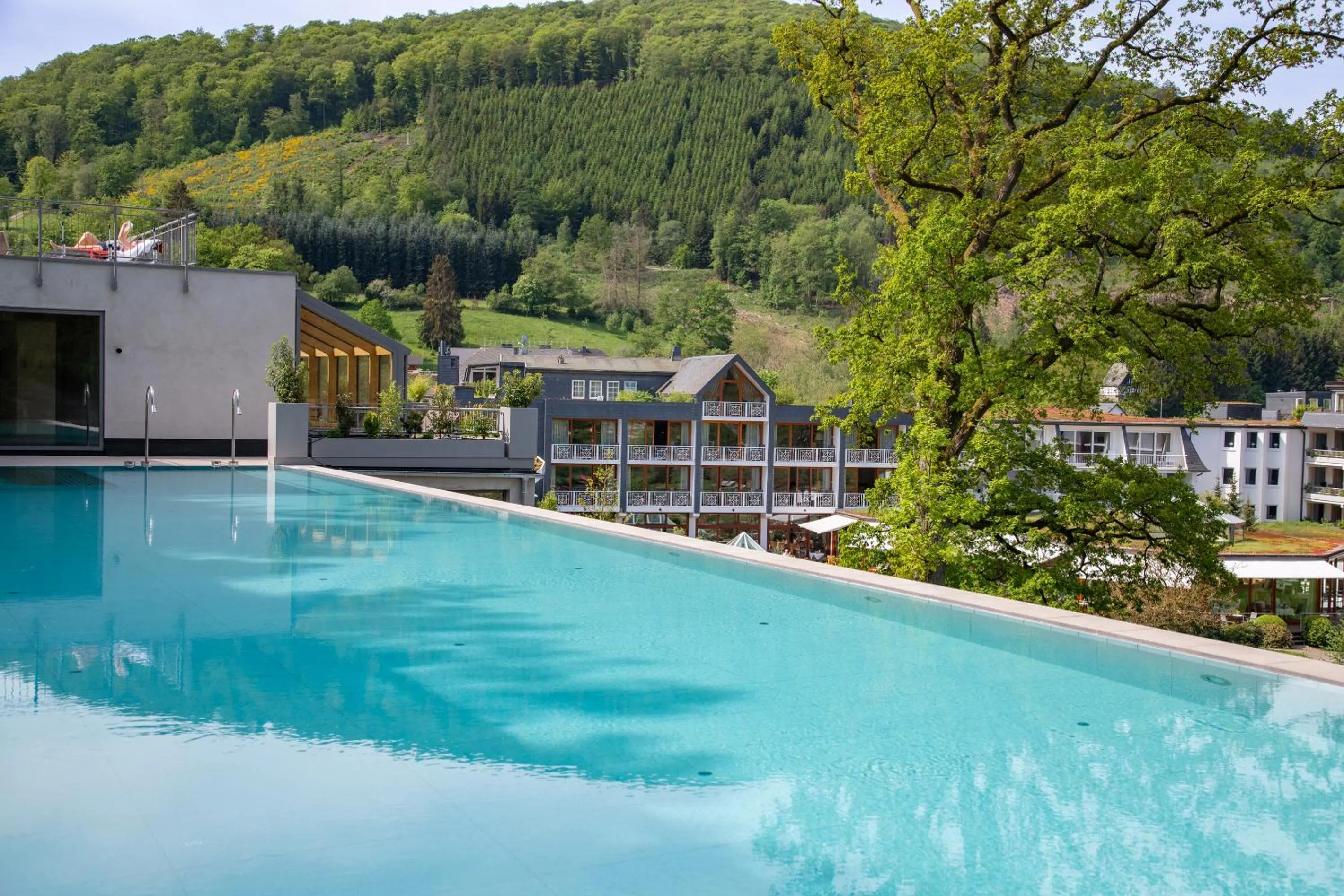 Swimming pool in Hotel Deimann