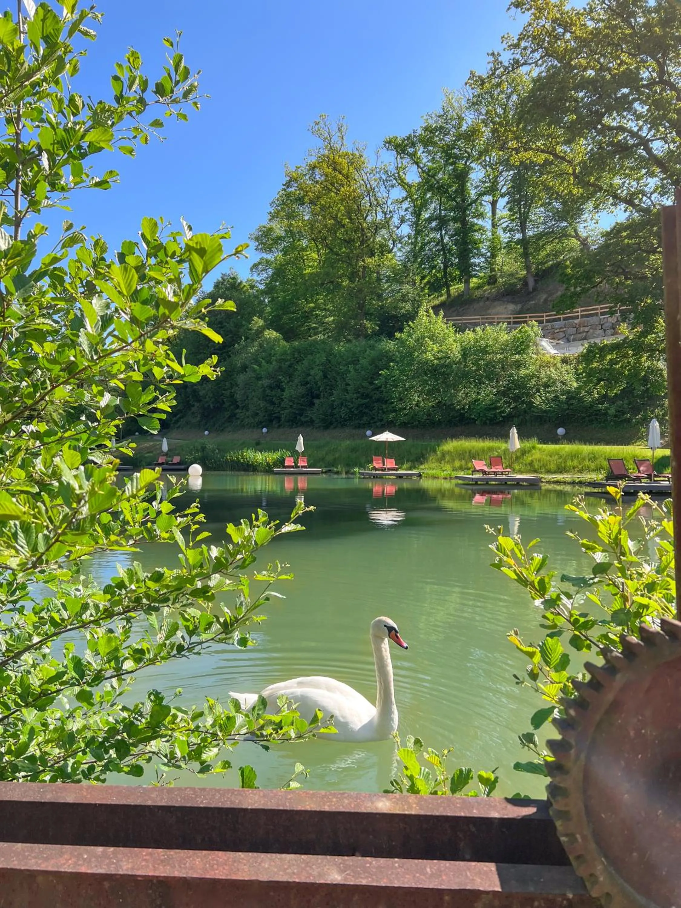 Garden in Hotel Deimann
