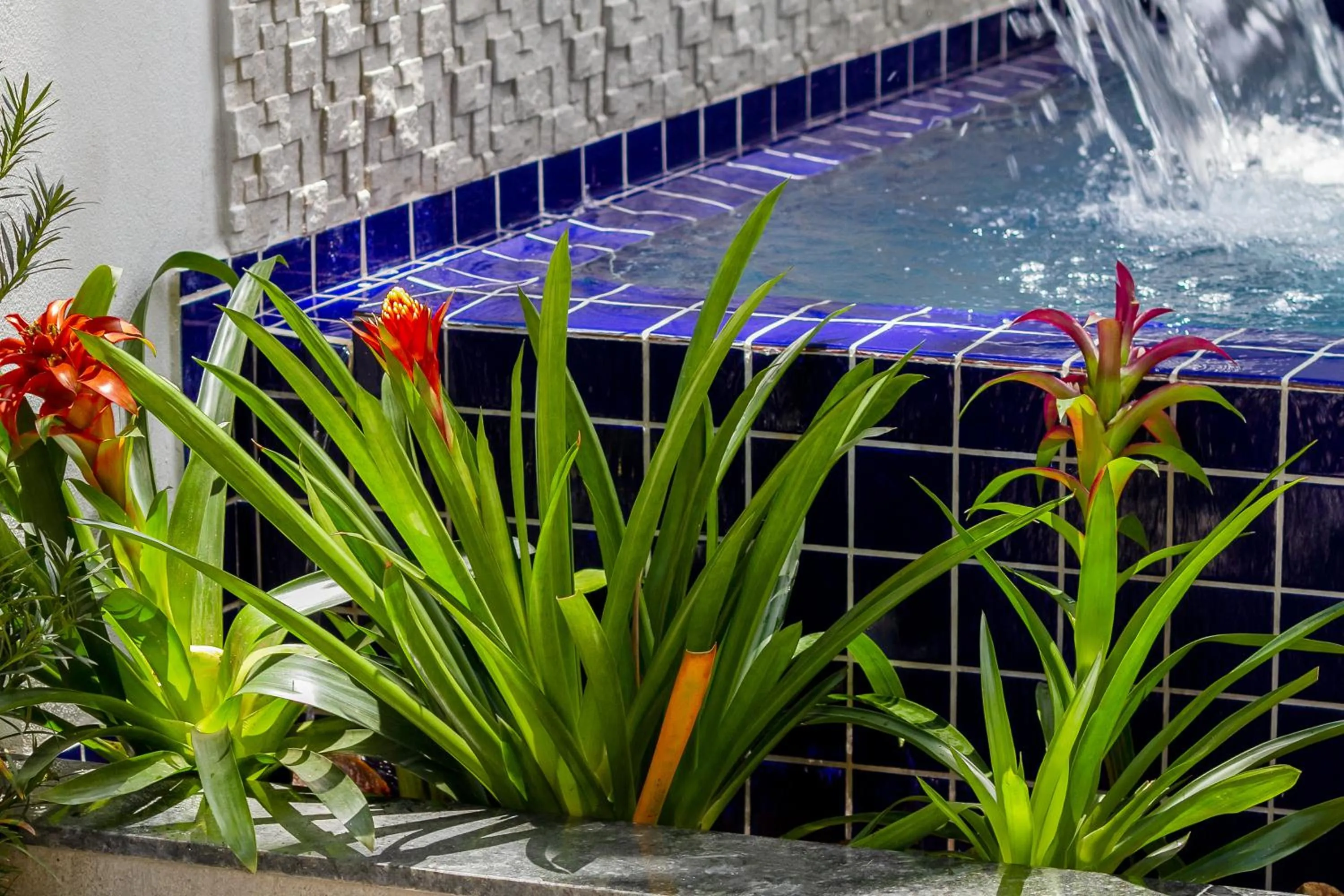 Garden in Calamar Flats Paraty