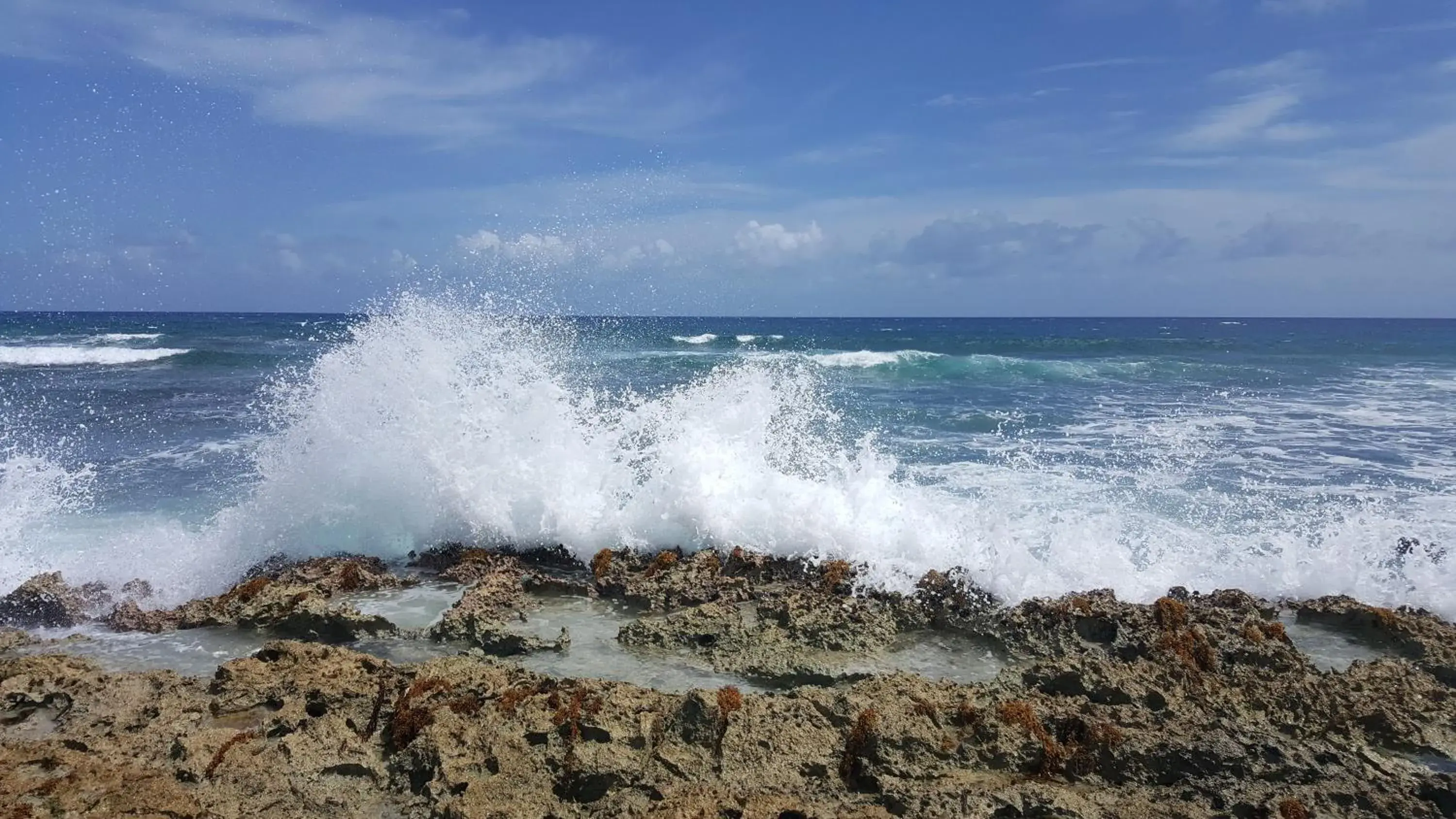 Riviera Maya Luxury Oceanfront Condo Riviera Maya Luxury Oceanfront Condo