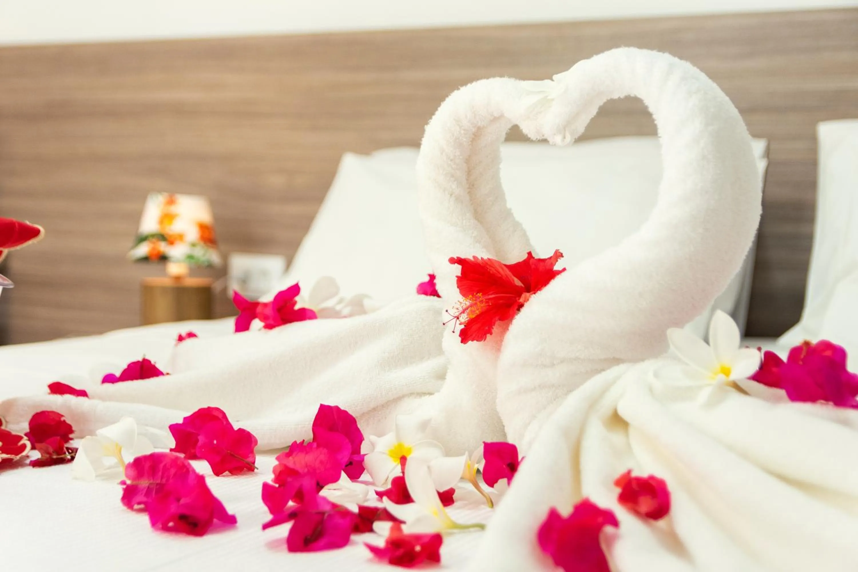 Decorative detail, Bed in Flats Angatu Porto de Galinhas PE