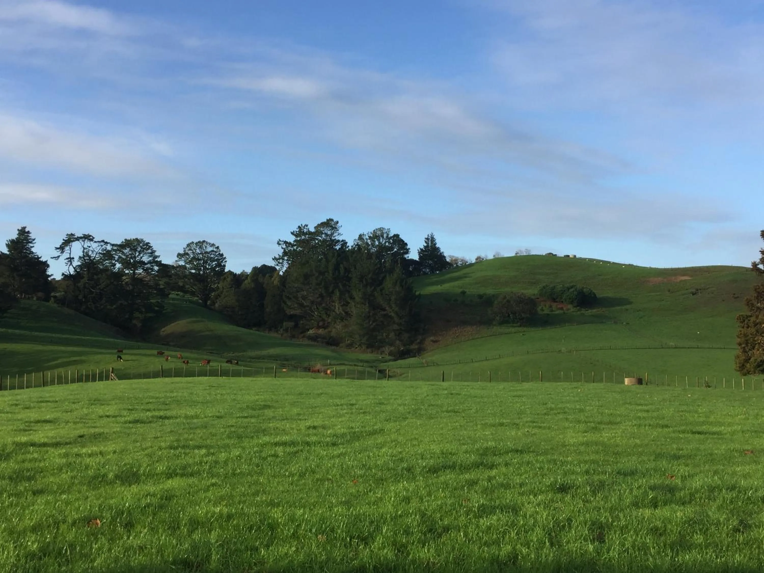 Natural landscape in Veld View Bed and Breakfast