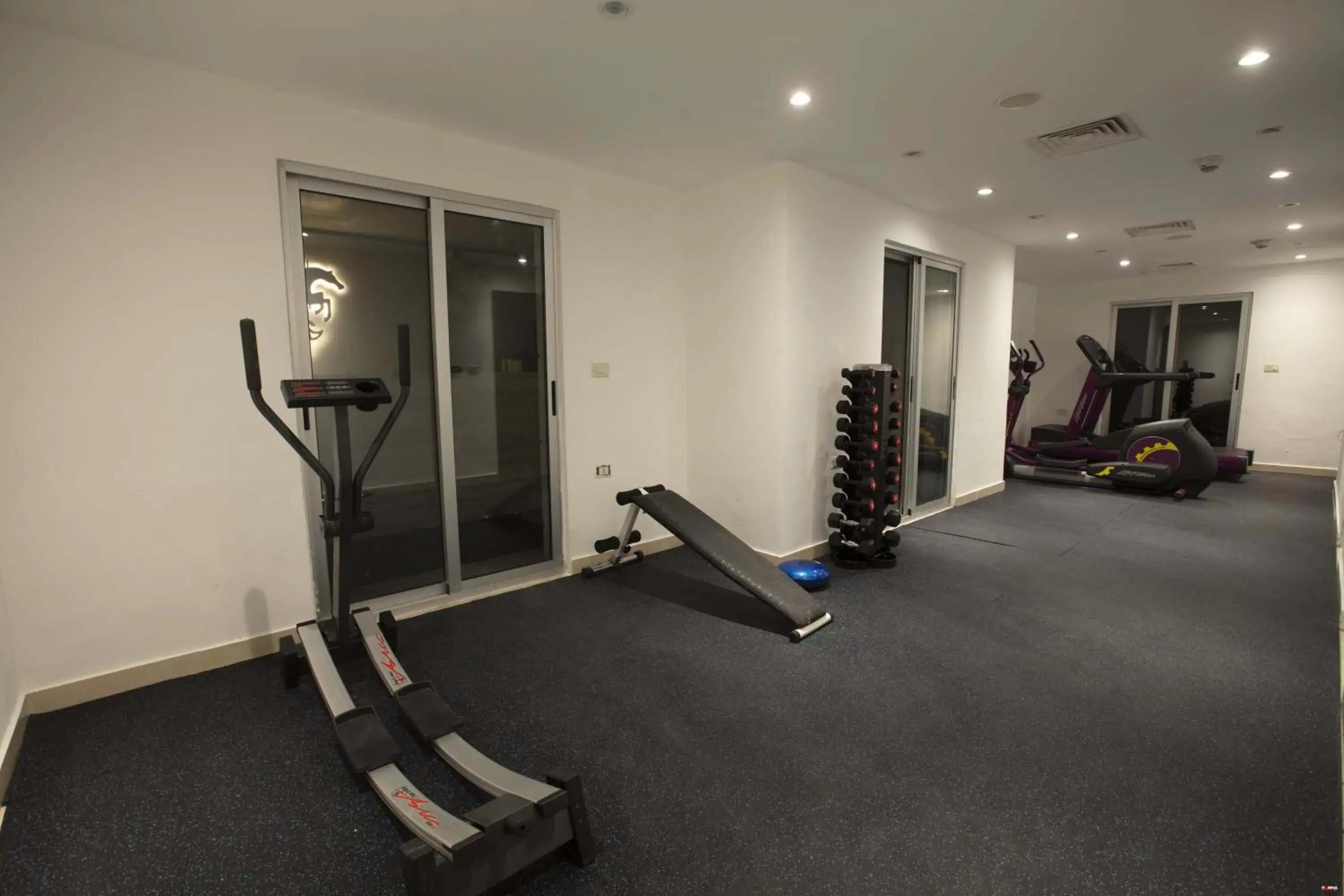 Fitness centre/facilities, Fitness Center/Facilities in Seas Hotel Amman