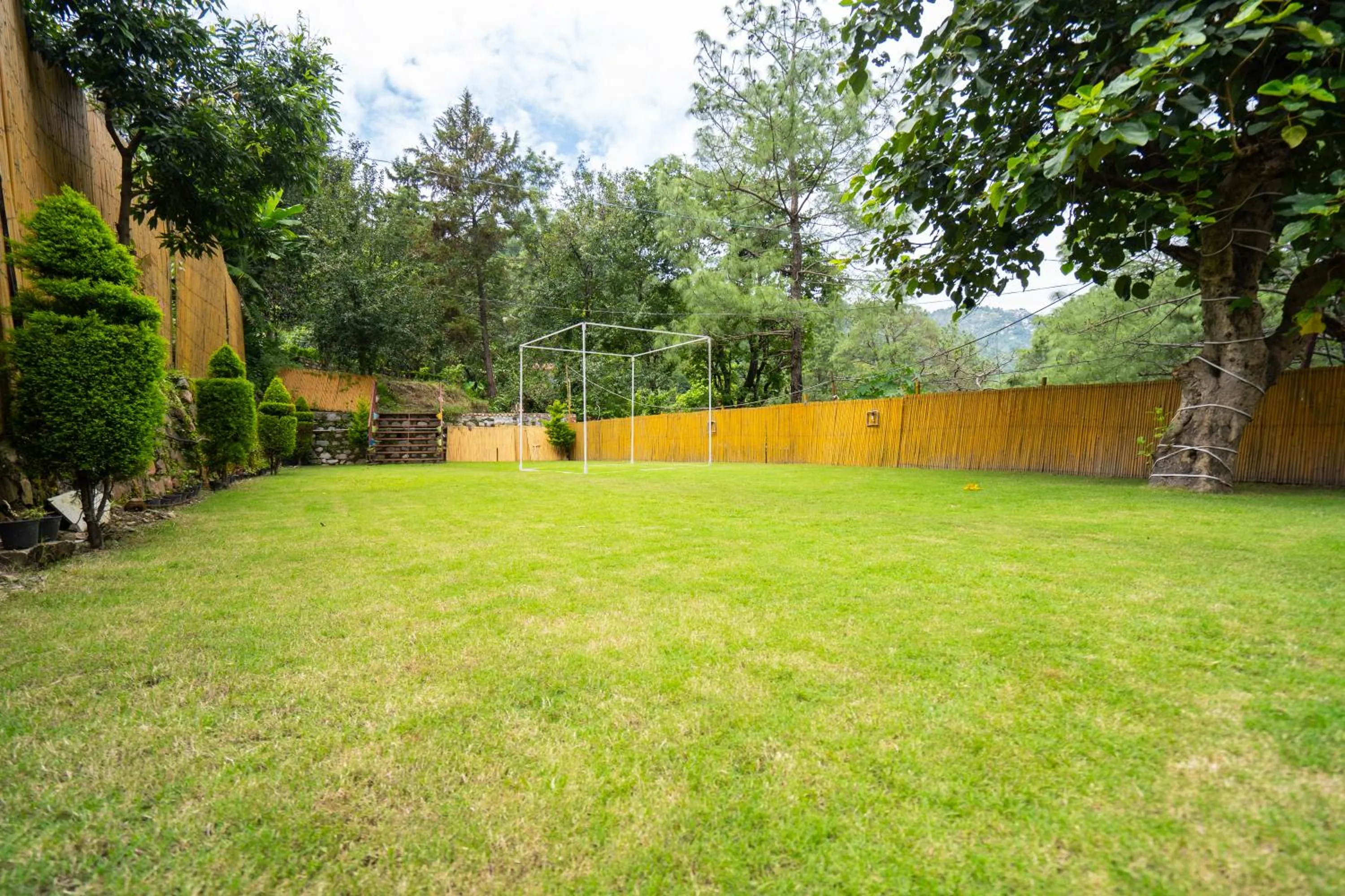 Garden in The Golden Sunrise Hotel