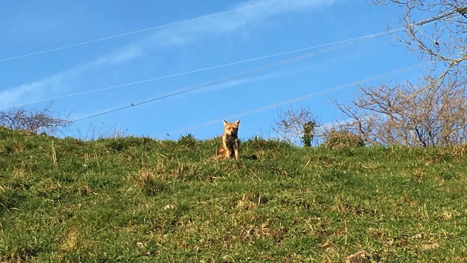 Posada de Villacarriedo