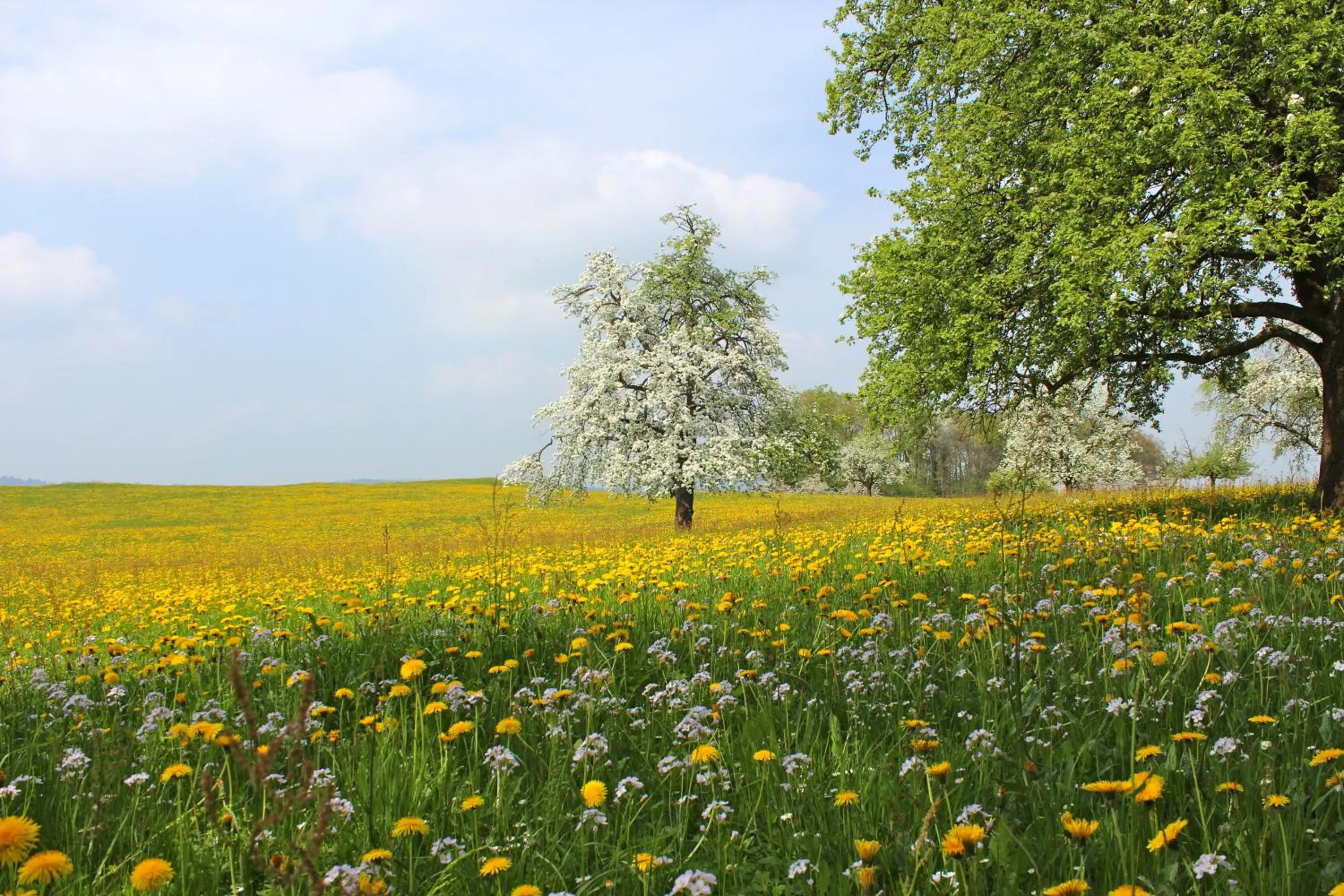 Area and facilities in Seehotel Gotthard