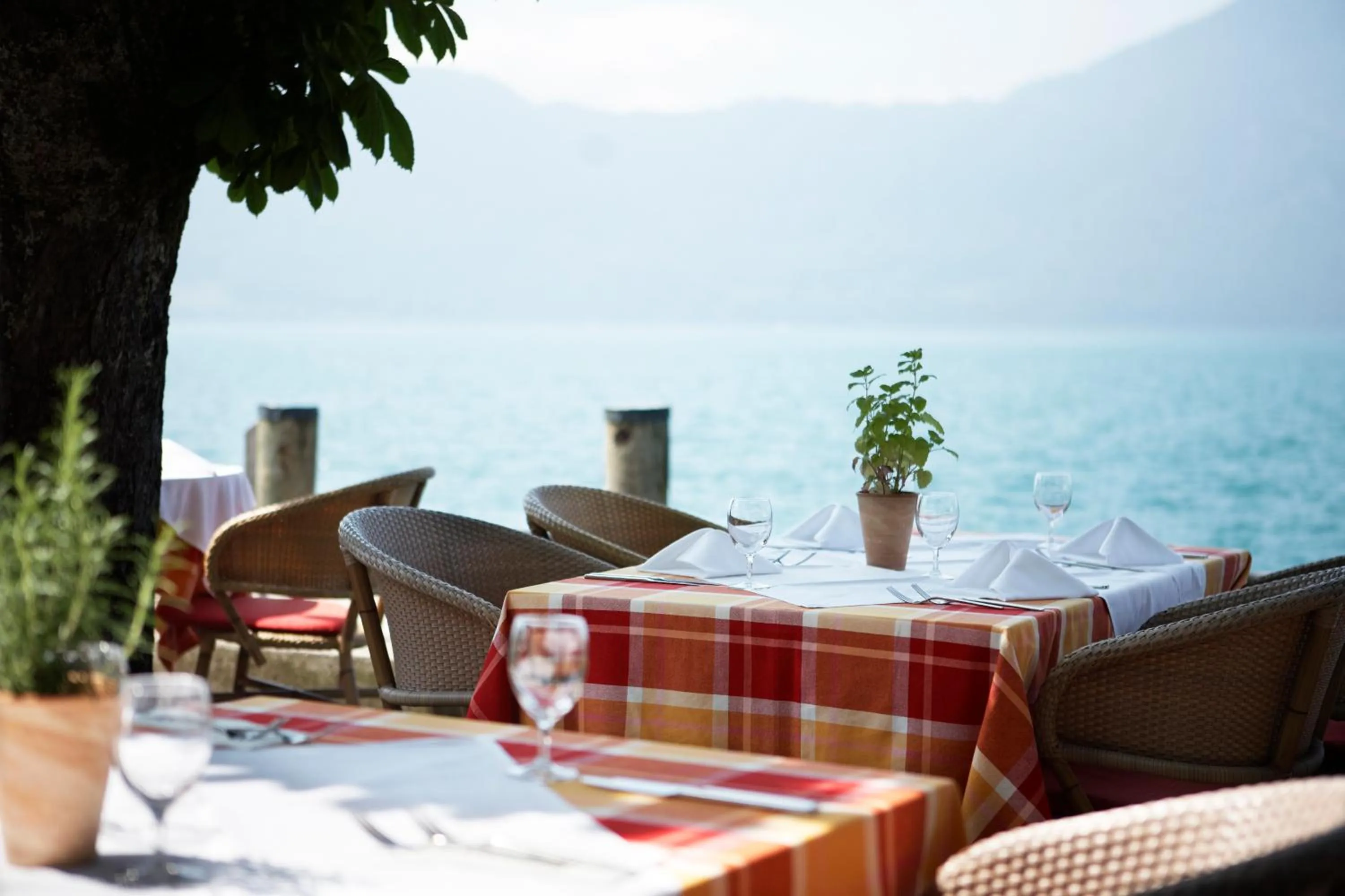 Restaurant/places to eat in Seehotel Gotthard