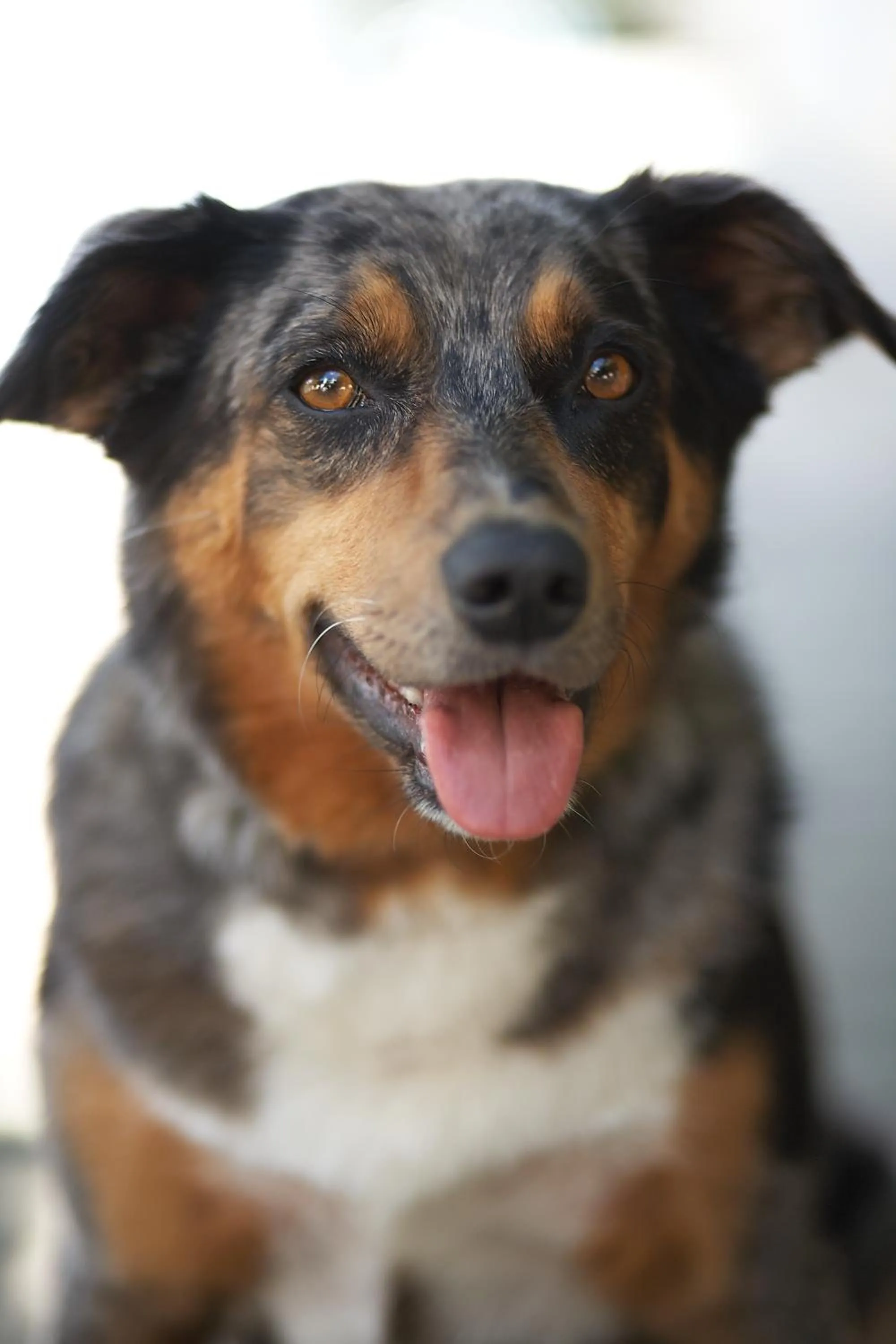 Other in Seehotel Gotthard