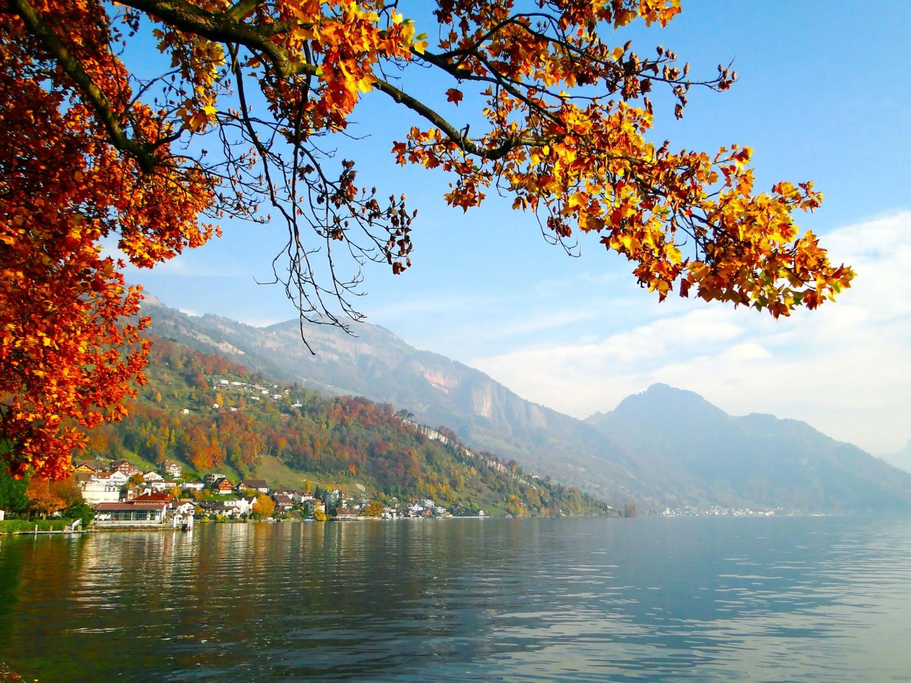 Other in Seehotel Gotthard