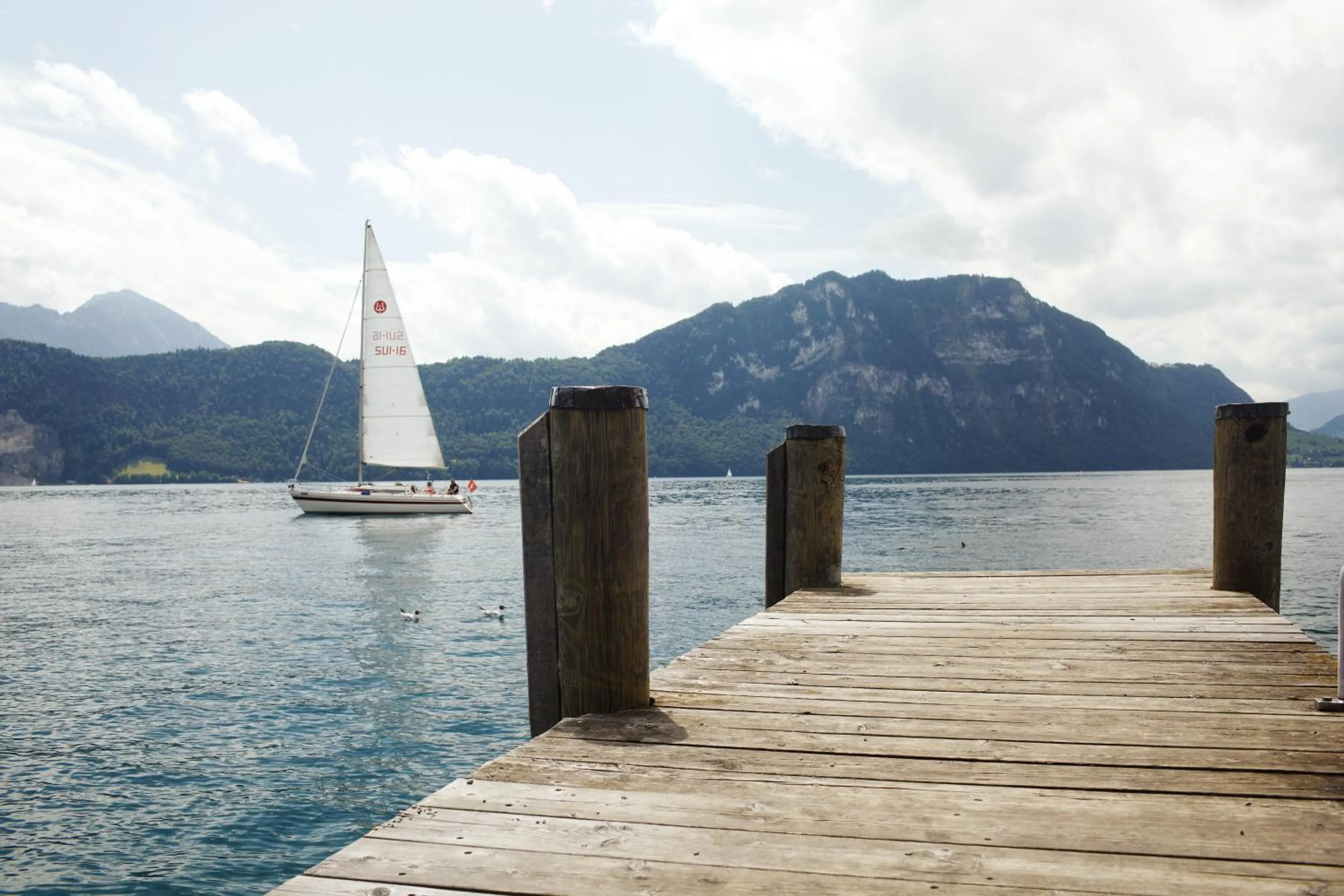 View (from property/room) in Seehotel Gotthard