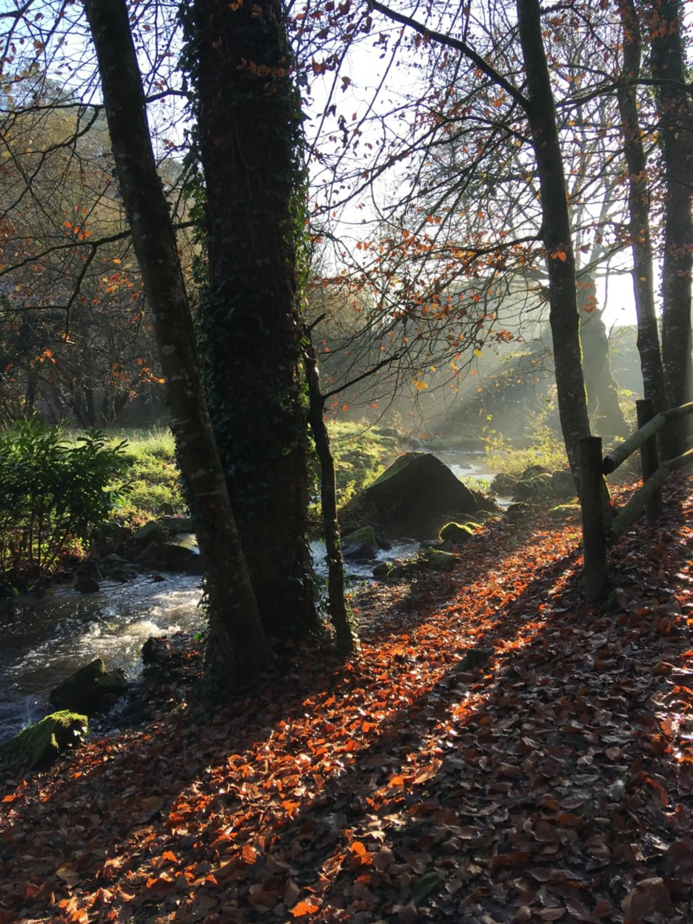Natural landscape in Chambre d'Hôtes La Marie Pierre